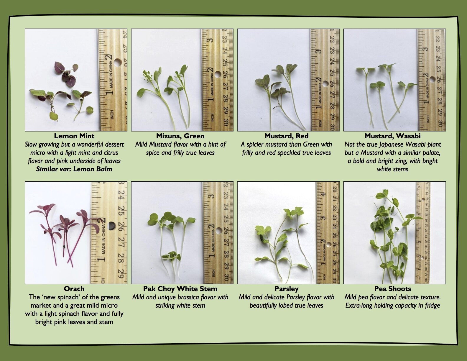 Page 3, Frog Bench Farms Microgreen Look Book.jpg