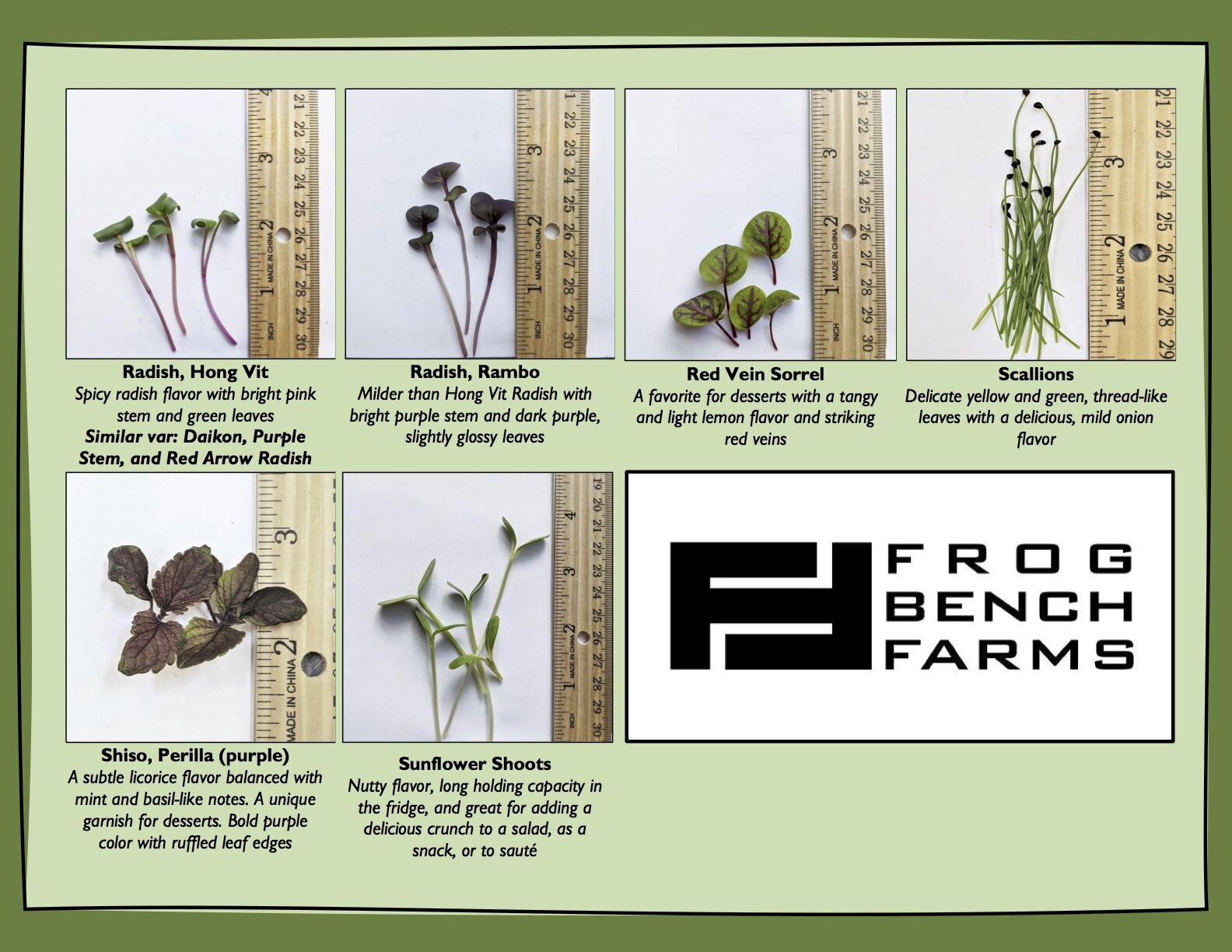 Page 4, Frog Bench Farms Microgreen Look Book.jpg