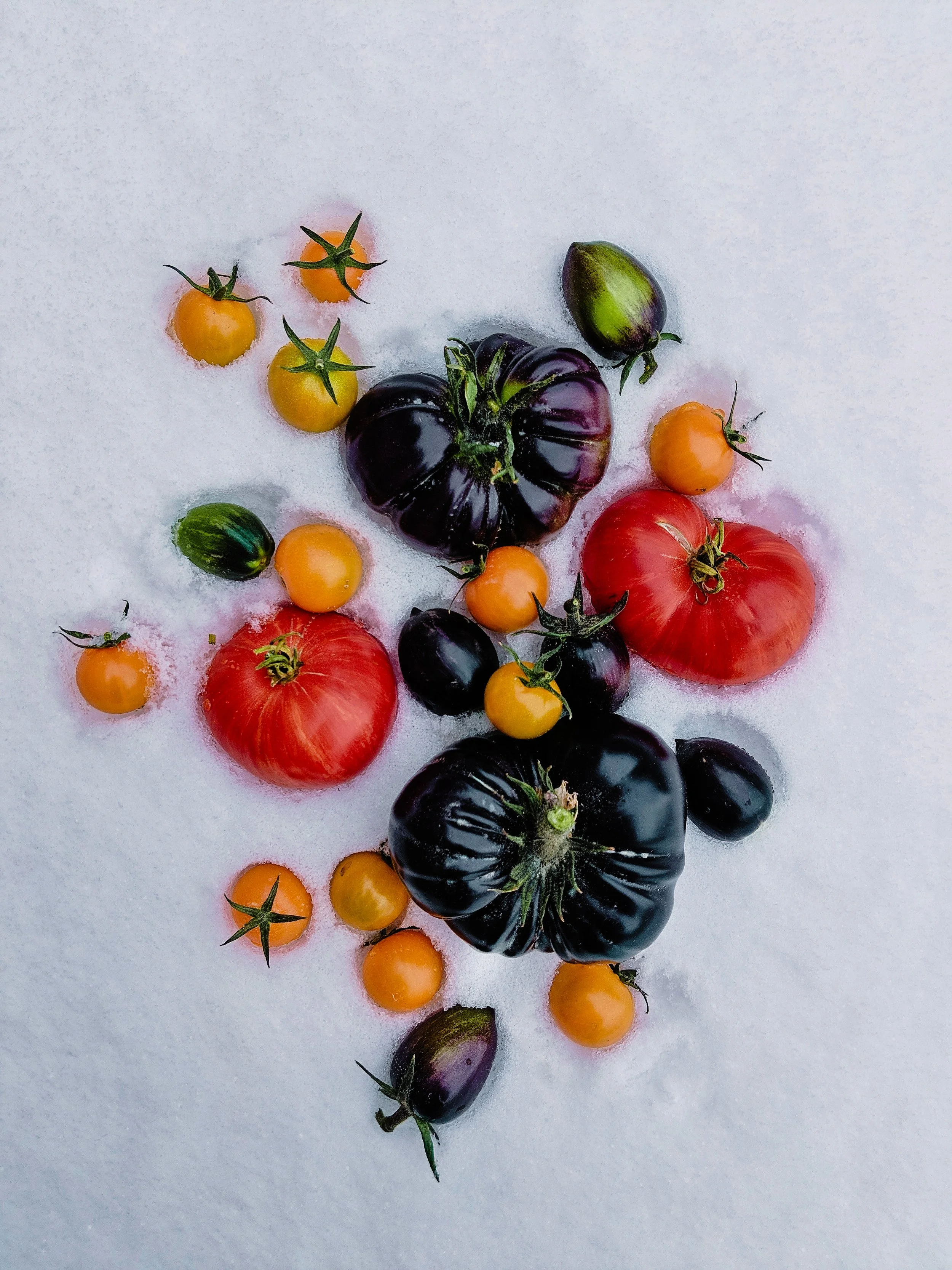 Winter Farmer's Market