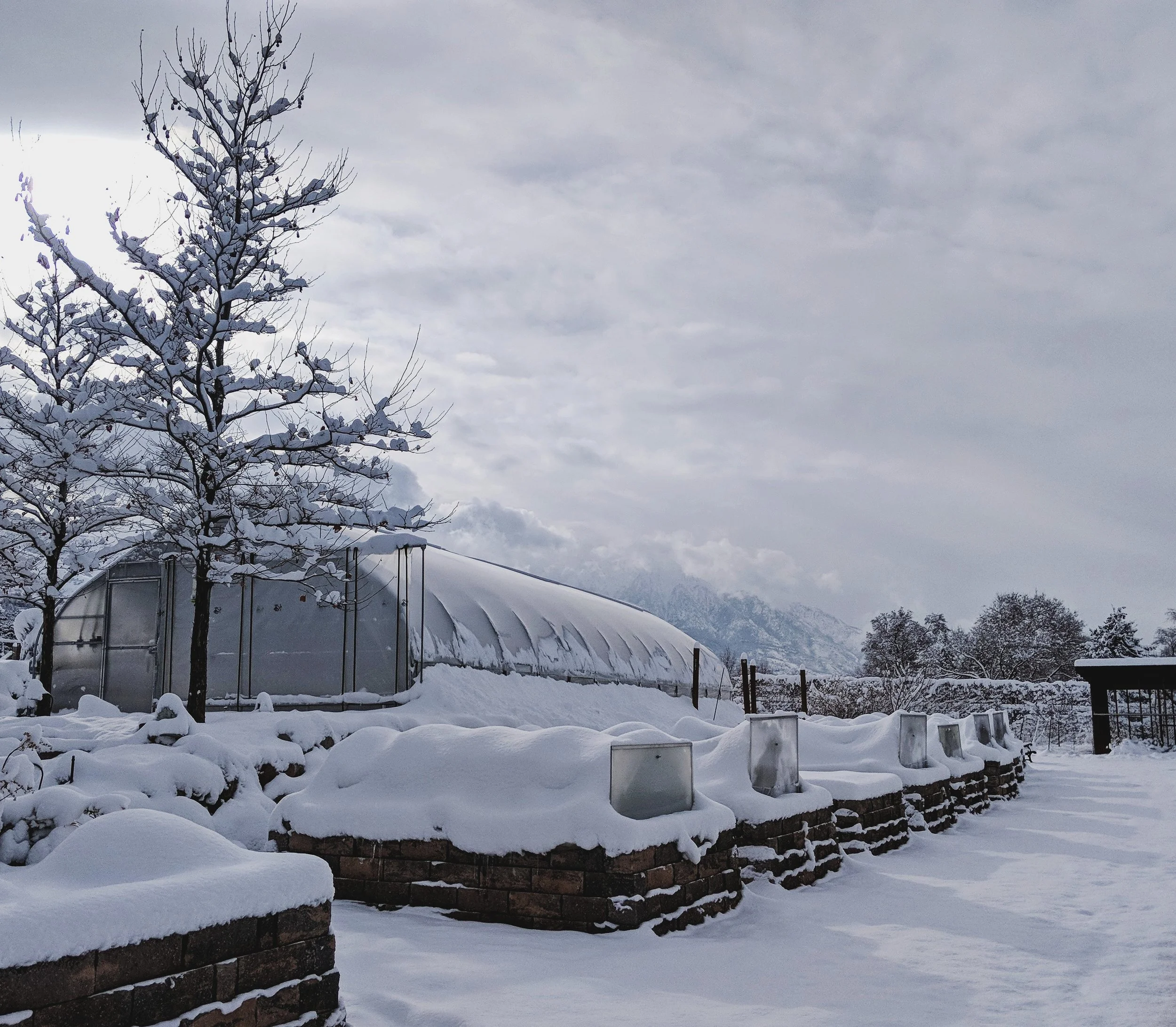 Winter Farmer's Market 