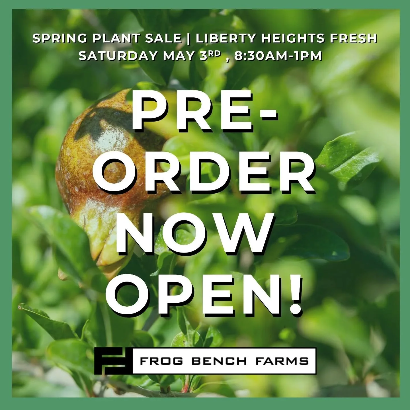 NOW OPEN!
Pre-ordering for our Spring Plant Sale is happening now from April 11th - April 28th 🌱 All presale orders will be available for pick up on May 3rd at Liberty Heights Fresh. 

You can head to the link in our bio to access the sale! Or go to