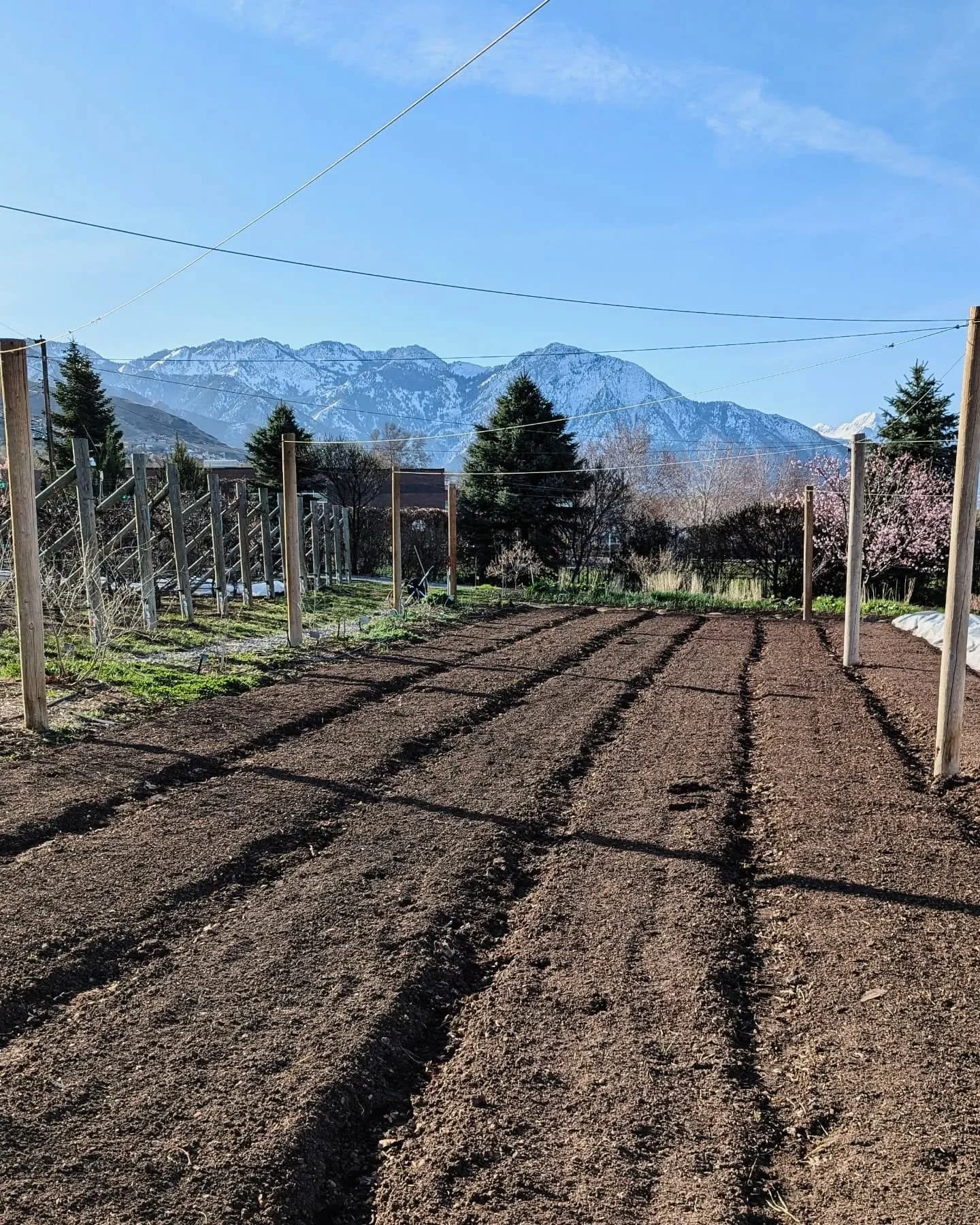 What a difference a week makes! Utah's spring weather is all over the place - snow, heat, and everything in between. Keeps life exciting, right? 

We are doing lots to prep for our farm and the upcoming plant sale!
Don't forget that we have our Sprin