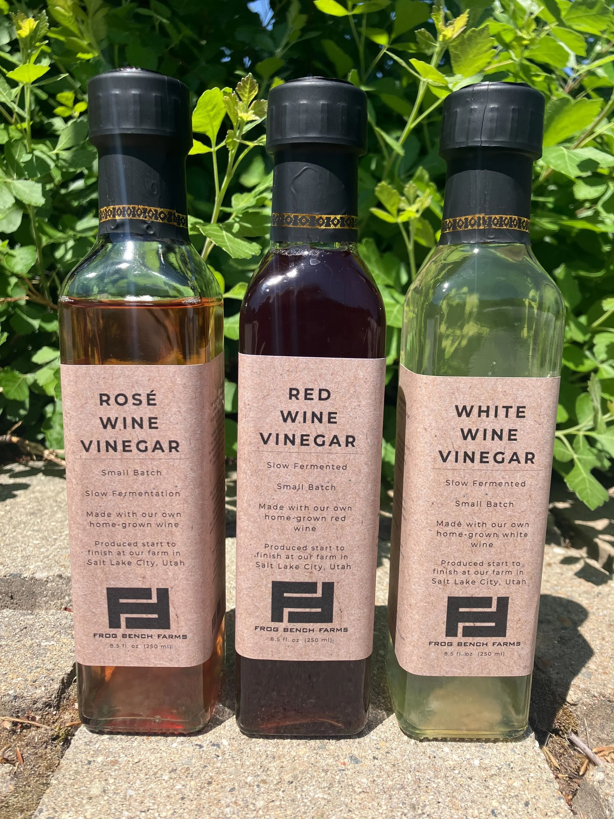 Wine Vinegars