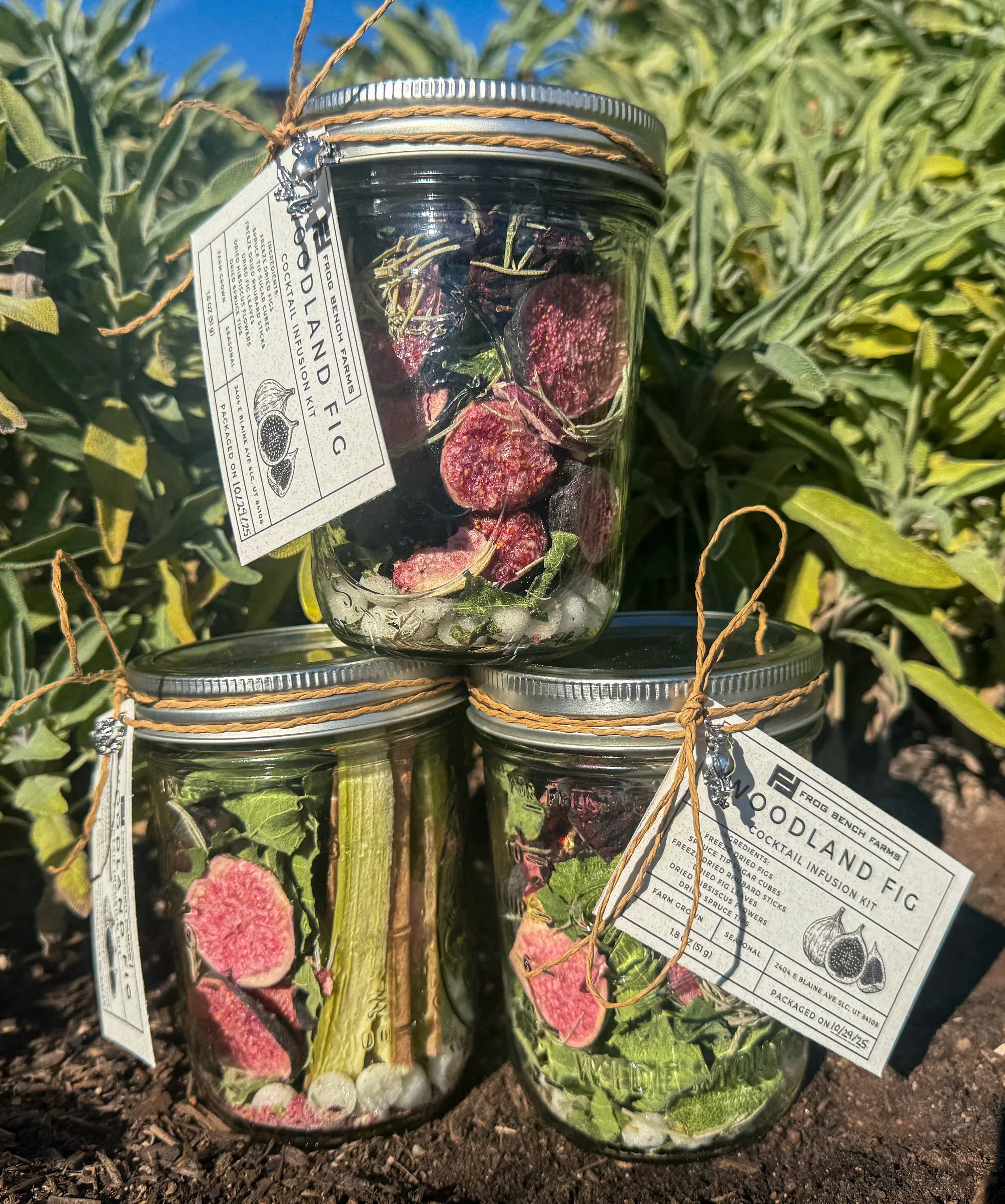 Cocktail Infusion Kits