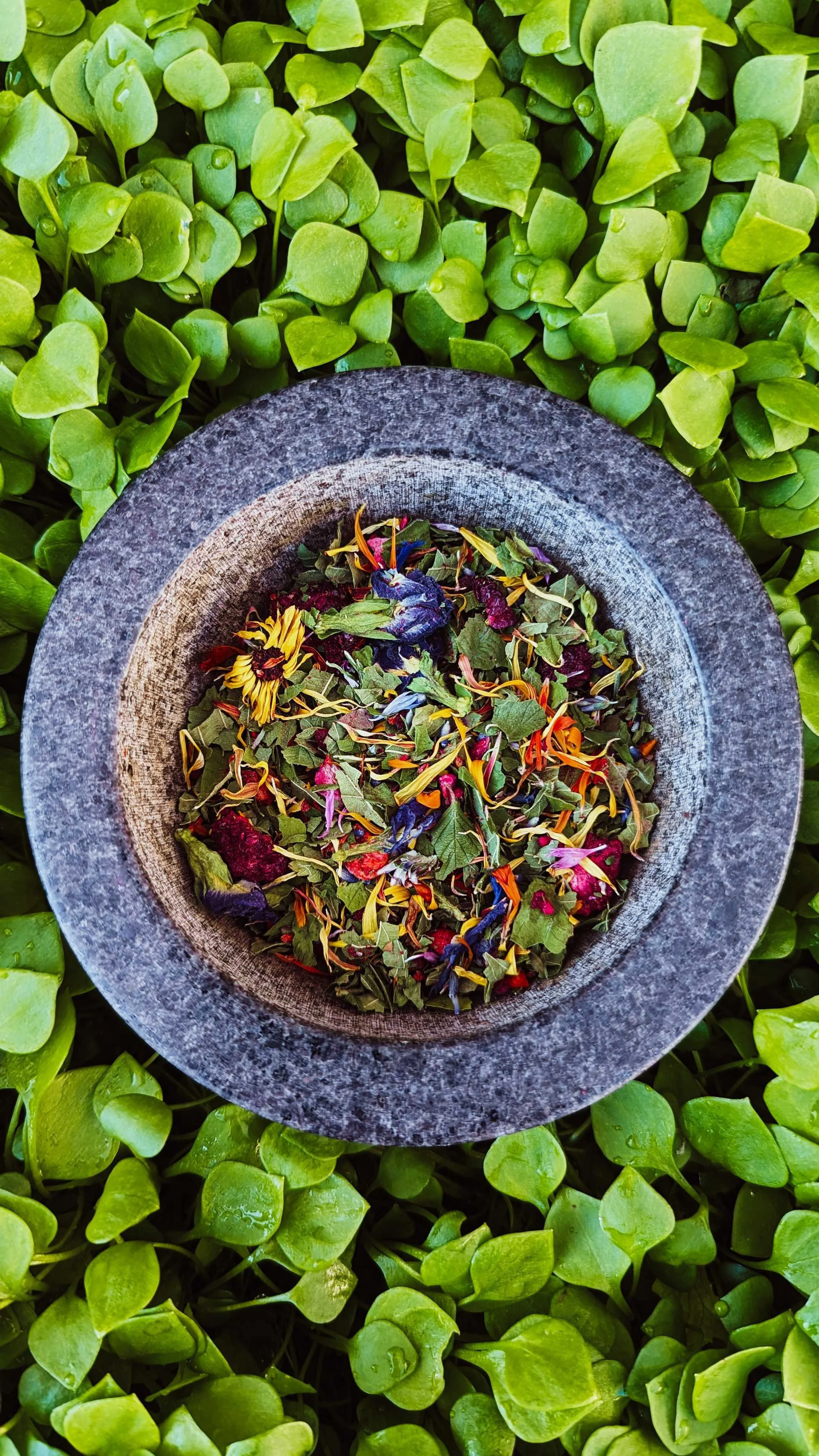 PXL_20240130_203843887.MP_polarr (1).jpeg