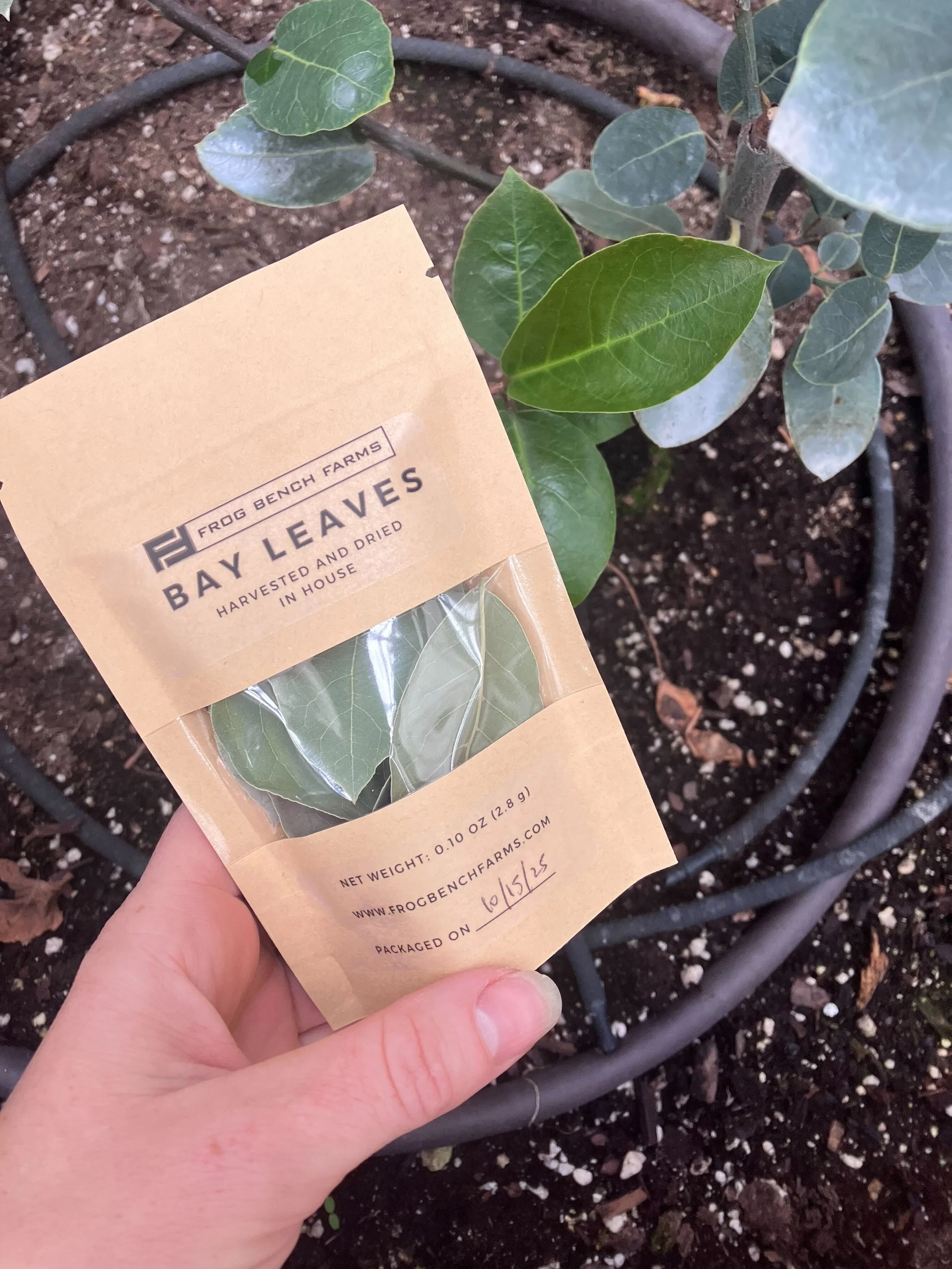 Dried Herbs and Edible Flowers