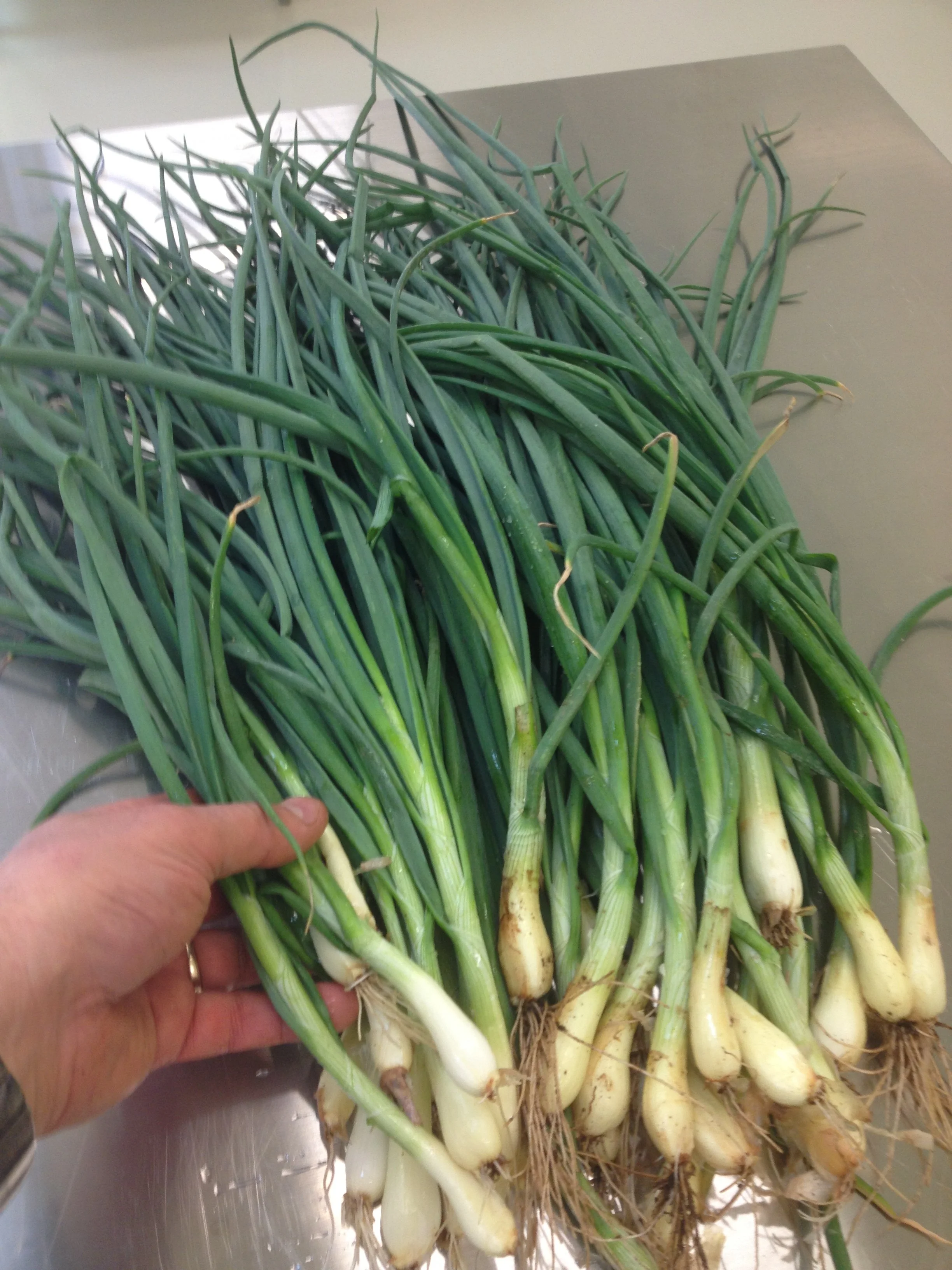 10.7.13 iPhone 031.JPG