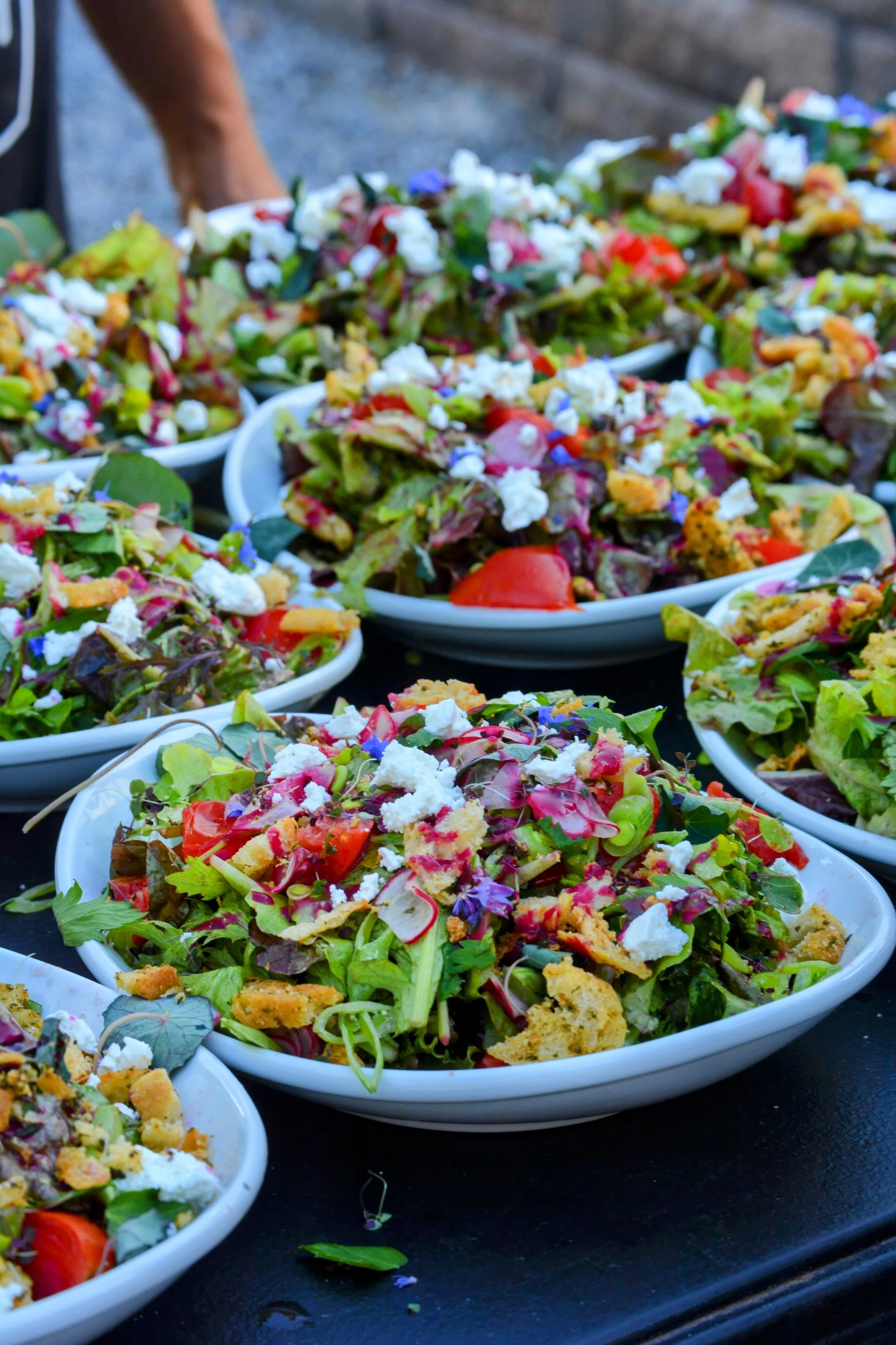 5F726087-EC46-4CE8-B36B-6E4EC1E4EAAF_Original (1).jpg