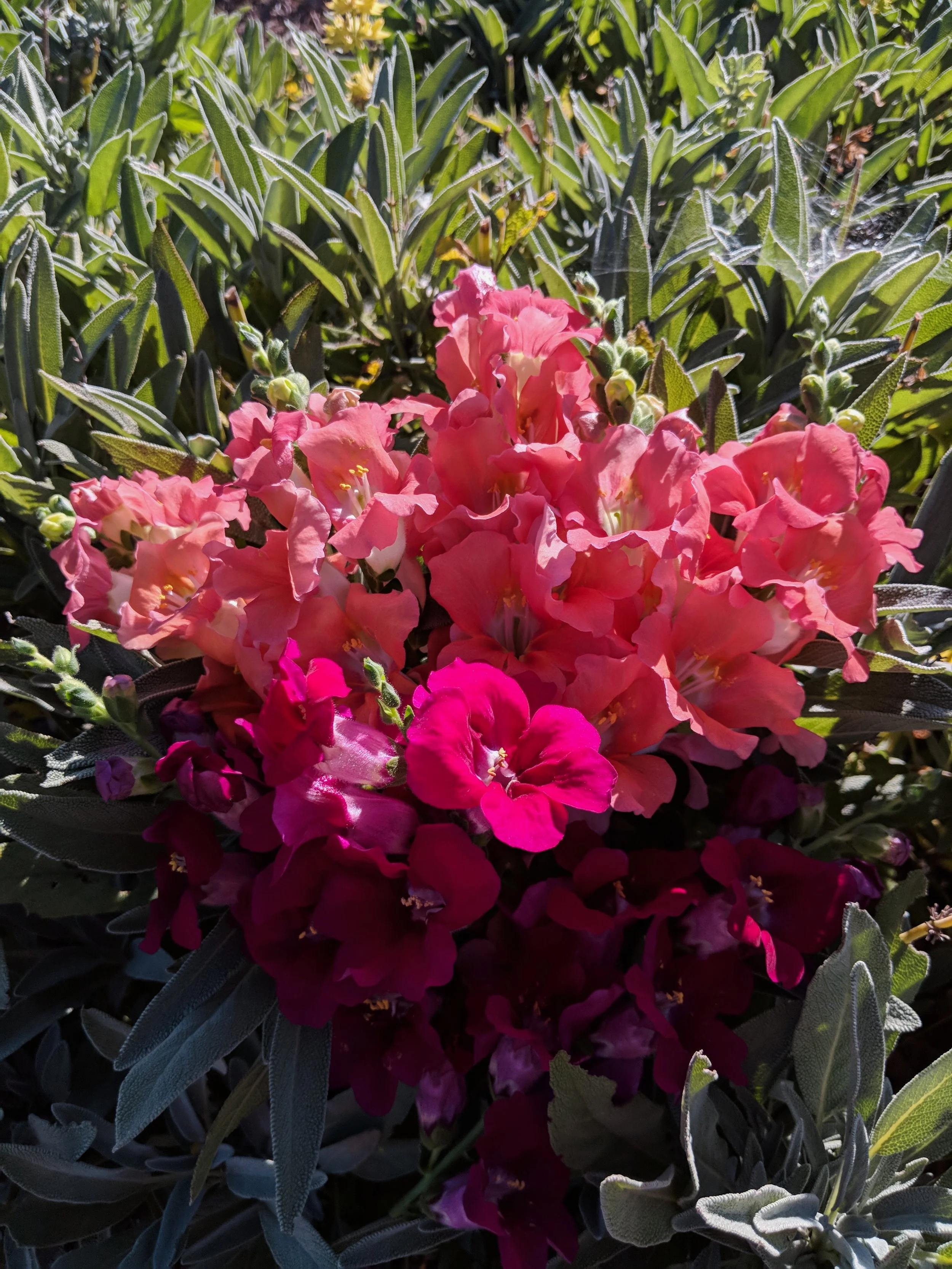 Profile Photo(7).jpg