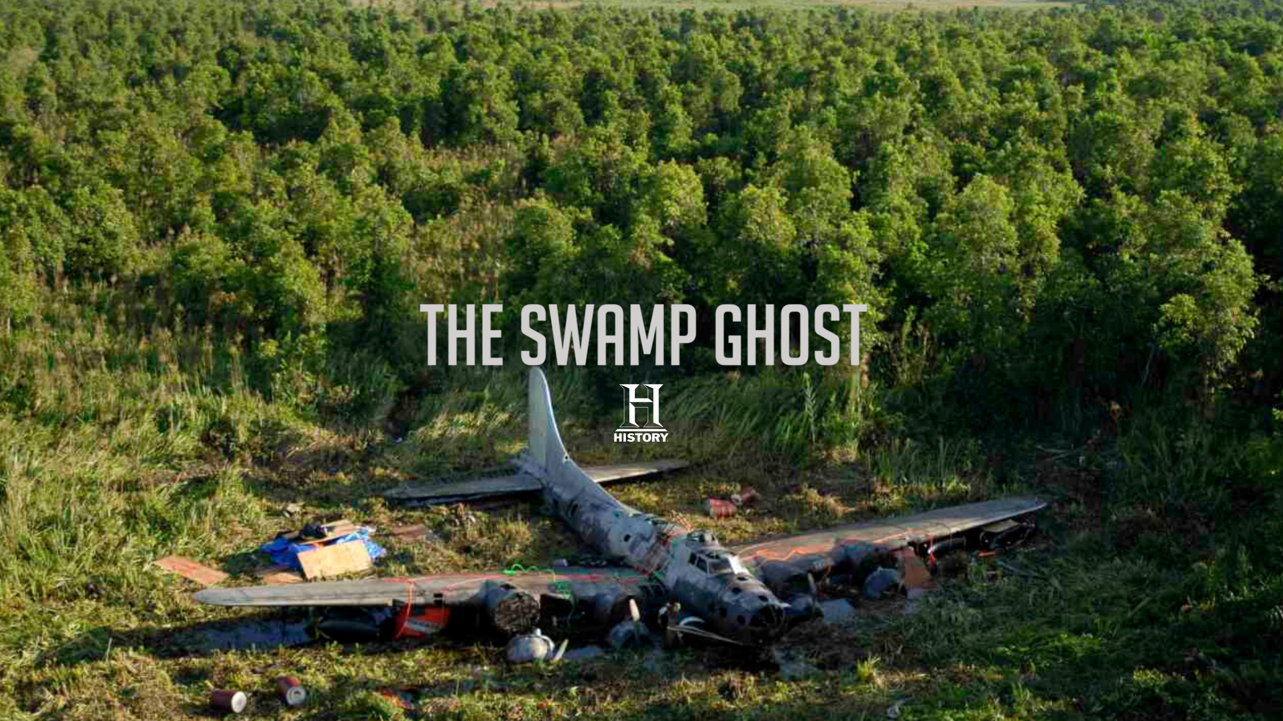 Swamp.png