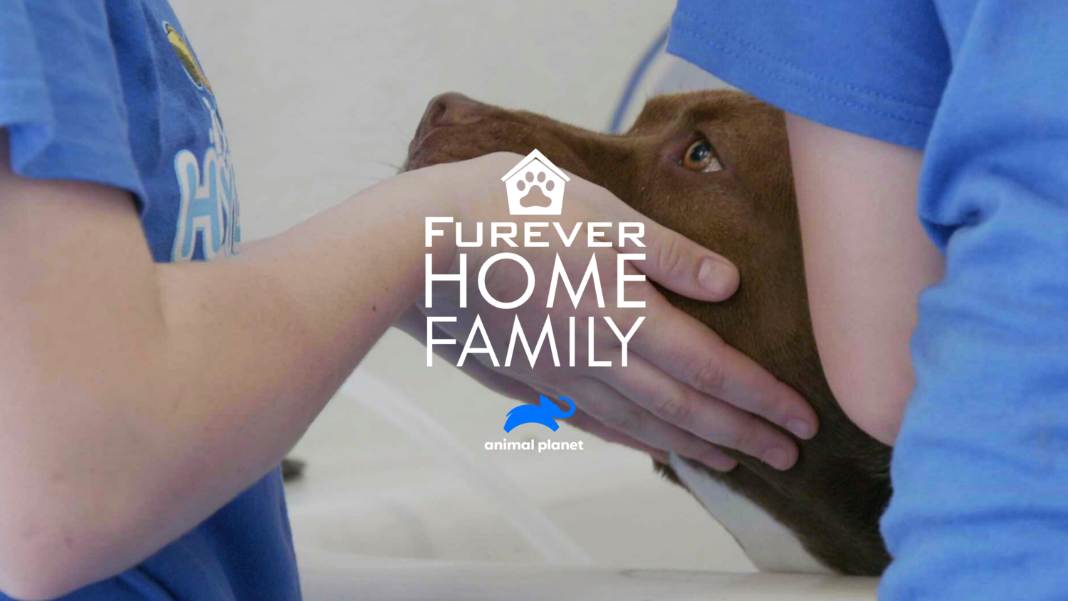 FureverHome.png