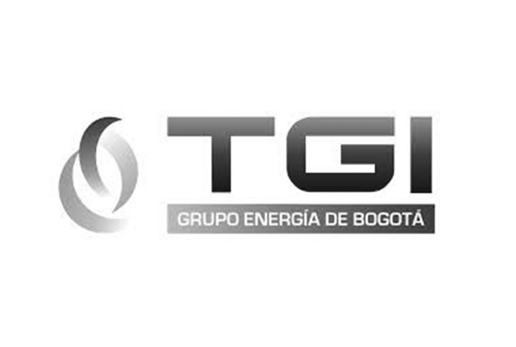 34 Logo TGI.png