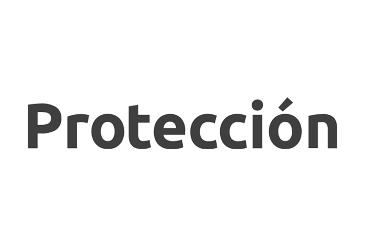 28 Logo Proteccion.png