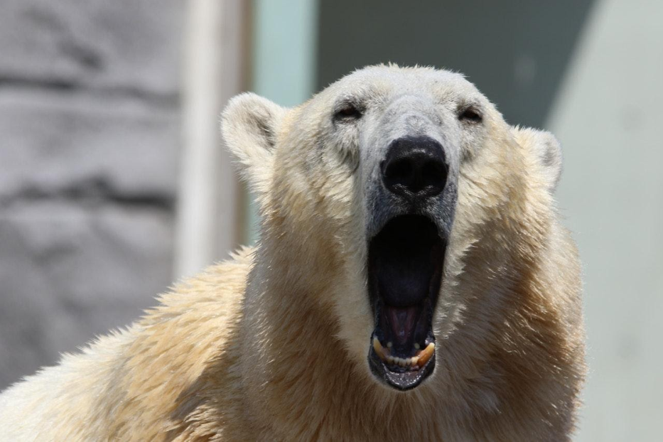 Want to Make Boring Info a Bit Sexier? Try the Infographic 