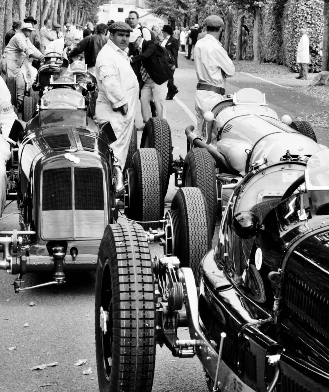 ERAs and pre-WW2 GP cars line up for the Goodwood Trophy at Revival 2011