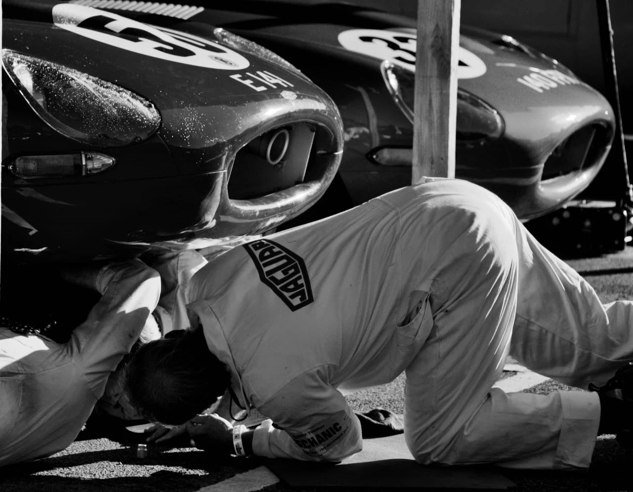 Jaguar E-types Goodwood Revival 2013