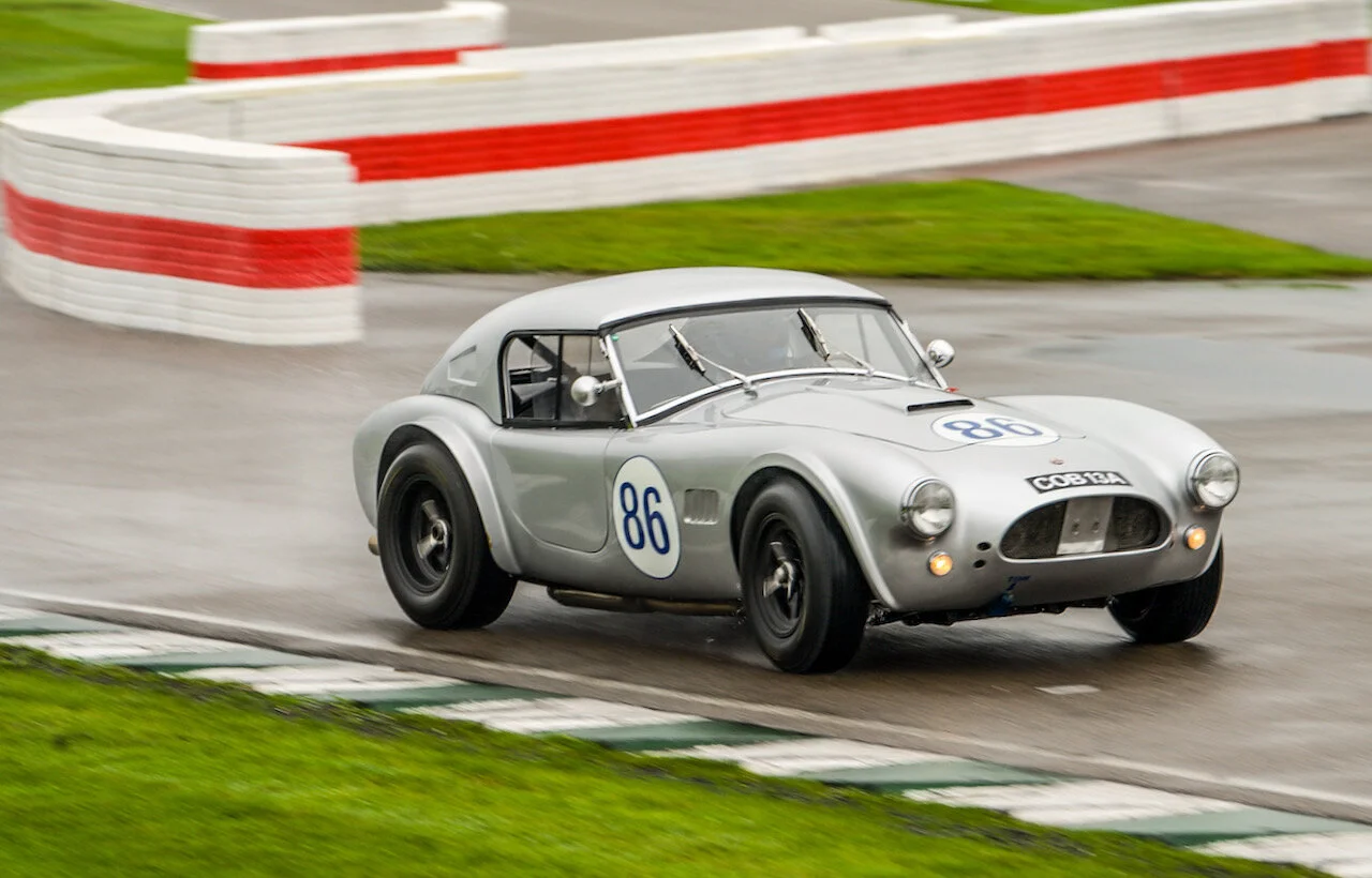 Title: “Snake”Price: A3+ £195/A2 £275