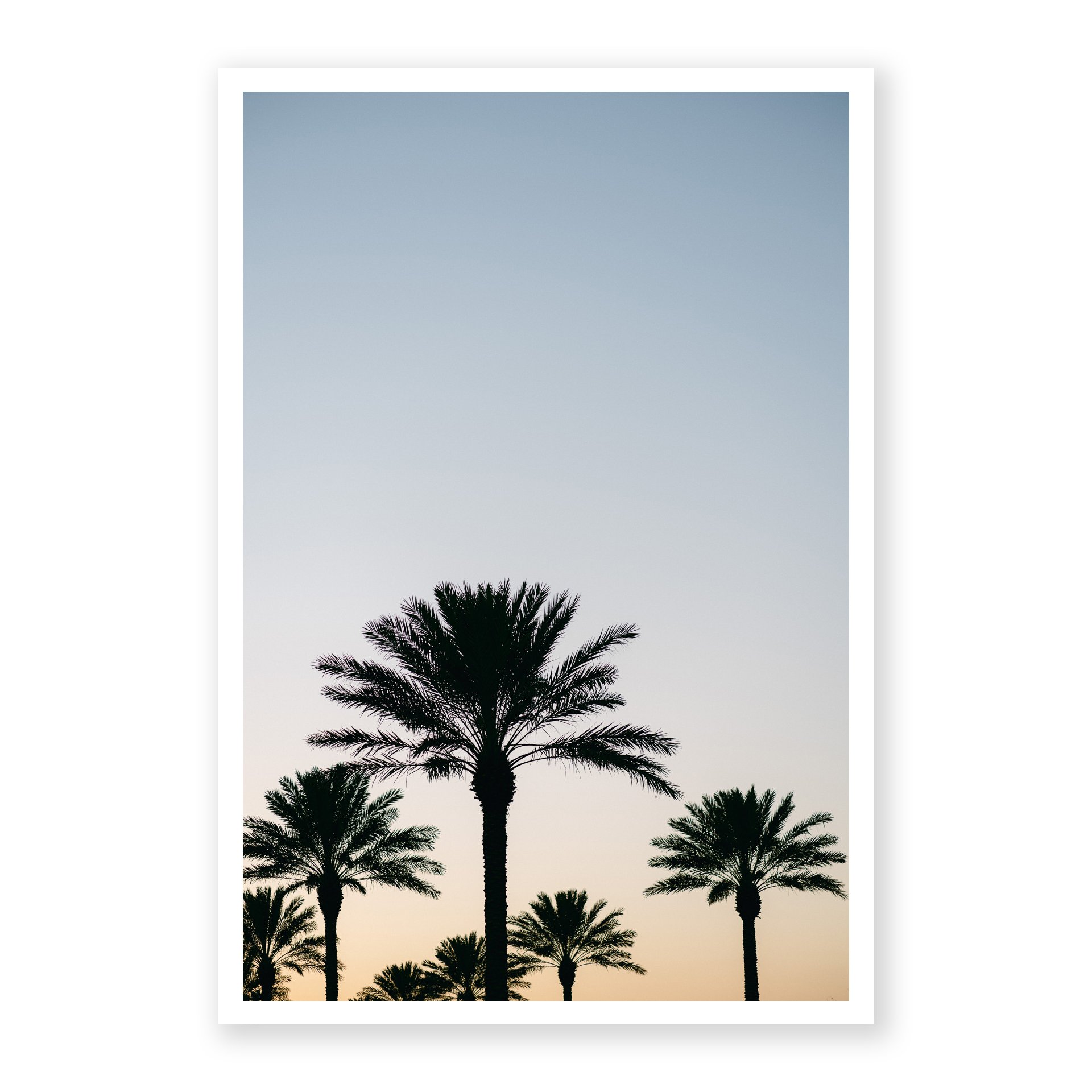 7Palms_Border.jpg