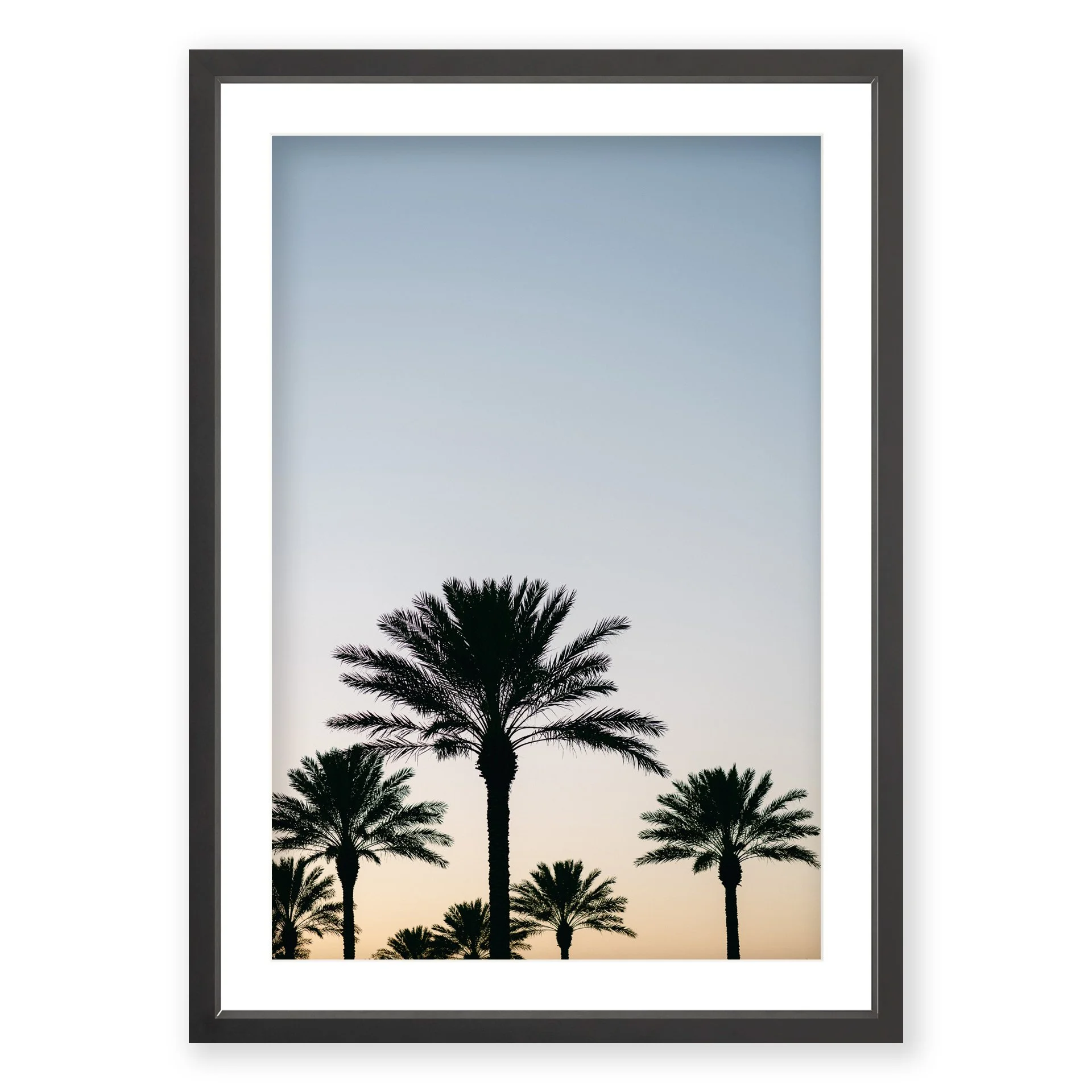 7Palms_BF.jpg