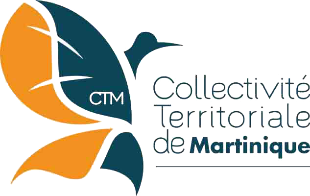 Logo CTM.png