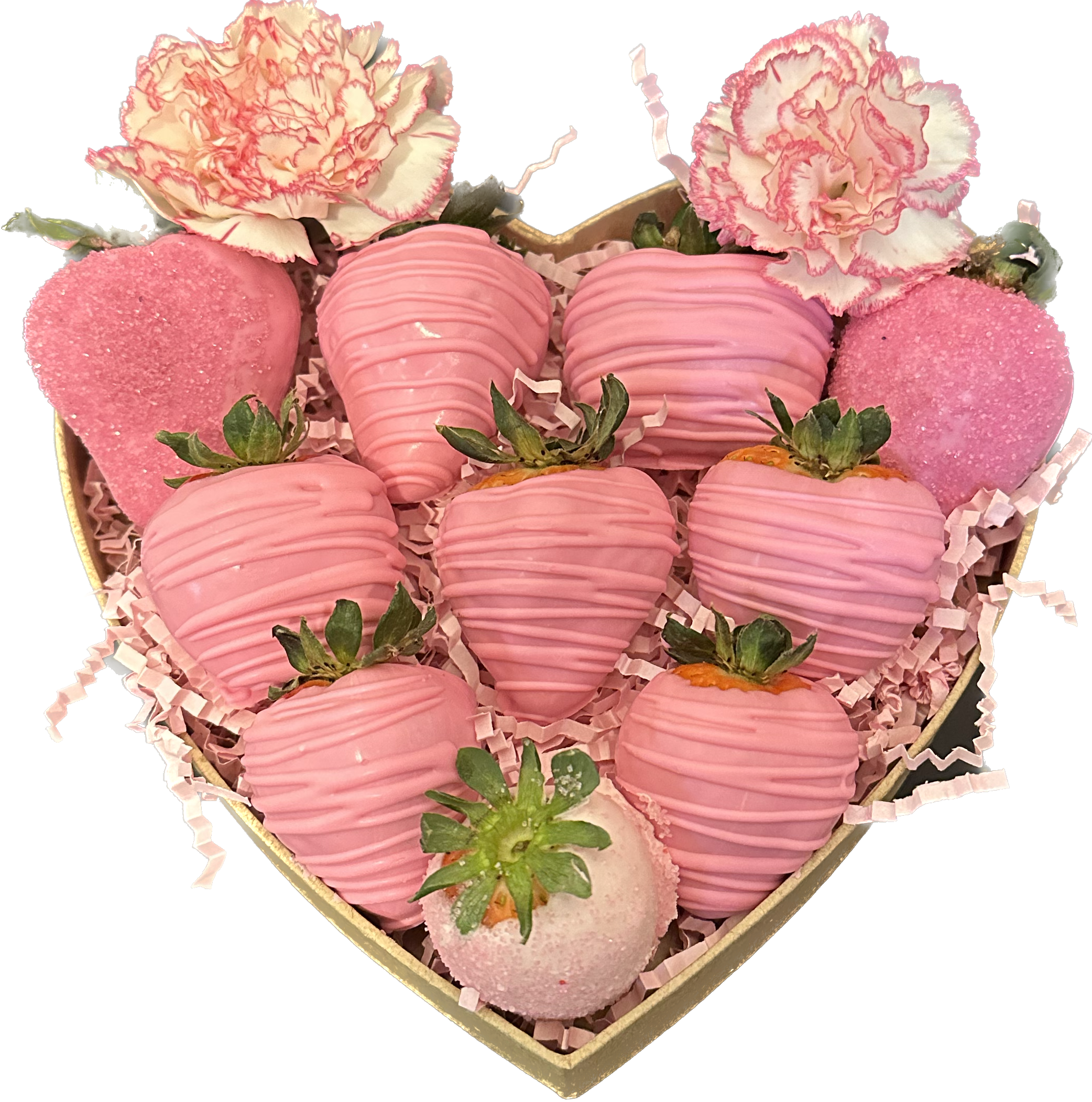 11953318-4369-4B75-BEB6-693D090B0C81