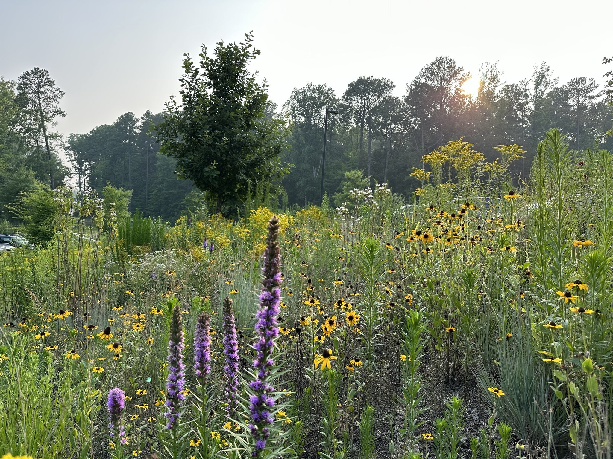 Hardywood Park Craft Brewery
