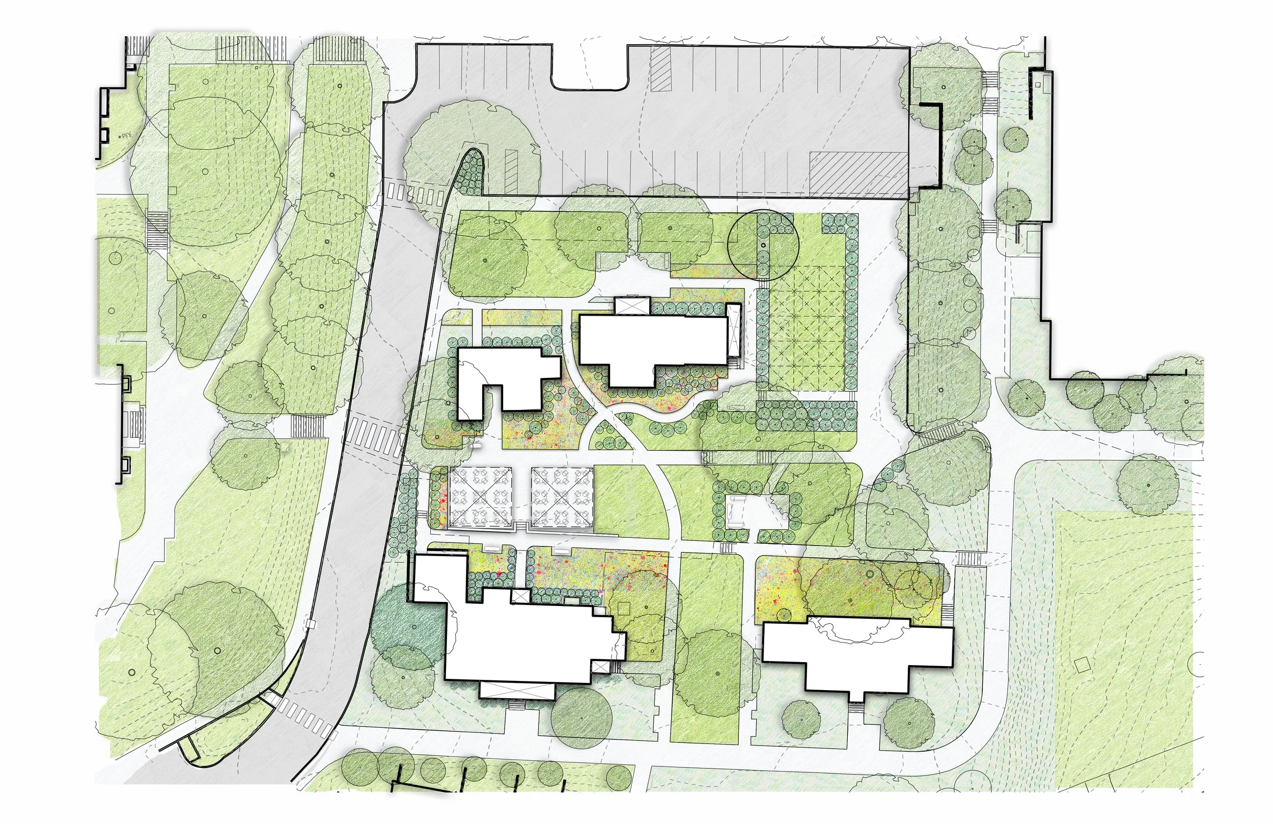 Dawson's Row Master Plan - The University of Virginia