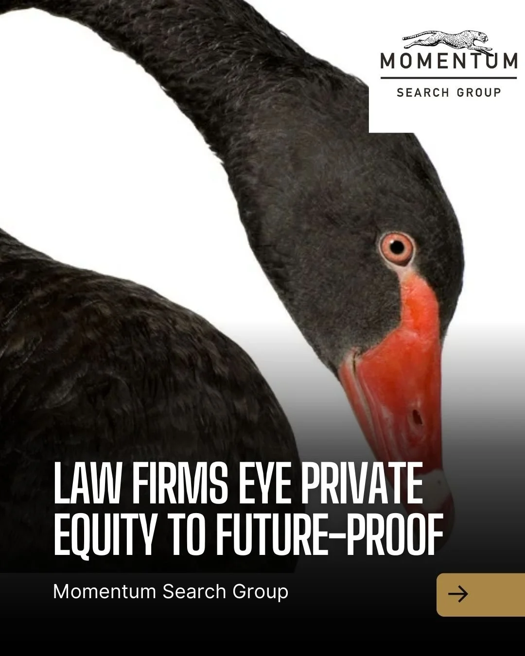 Big Law is rethinking the playbook. From pandemic shocks to political uncertainty, firms are exploring private equity and new strategies to stay resilient and future-ready. Are law firms ready for the next black swan?
