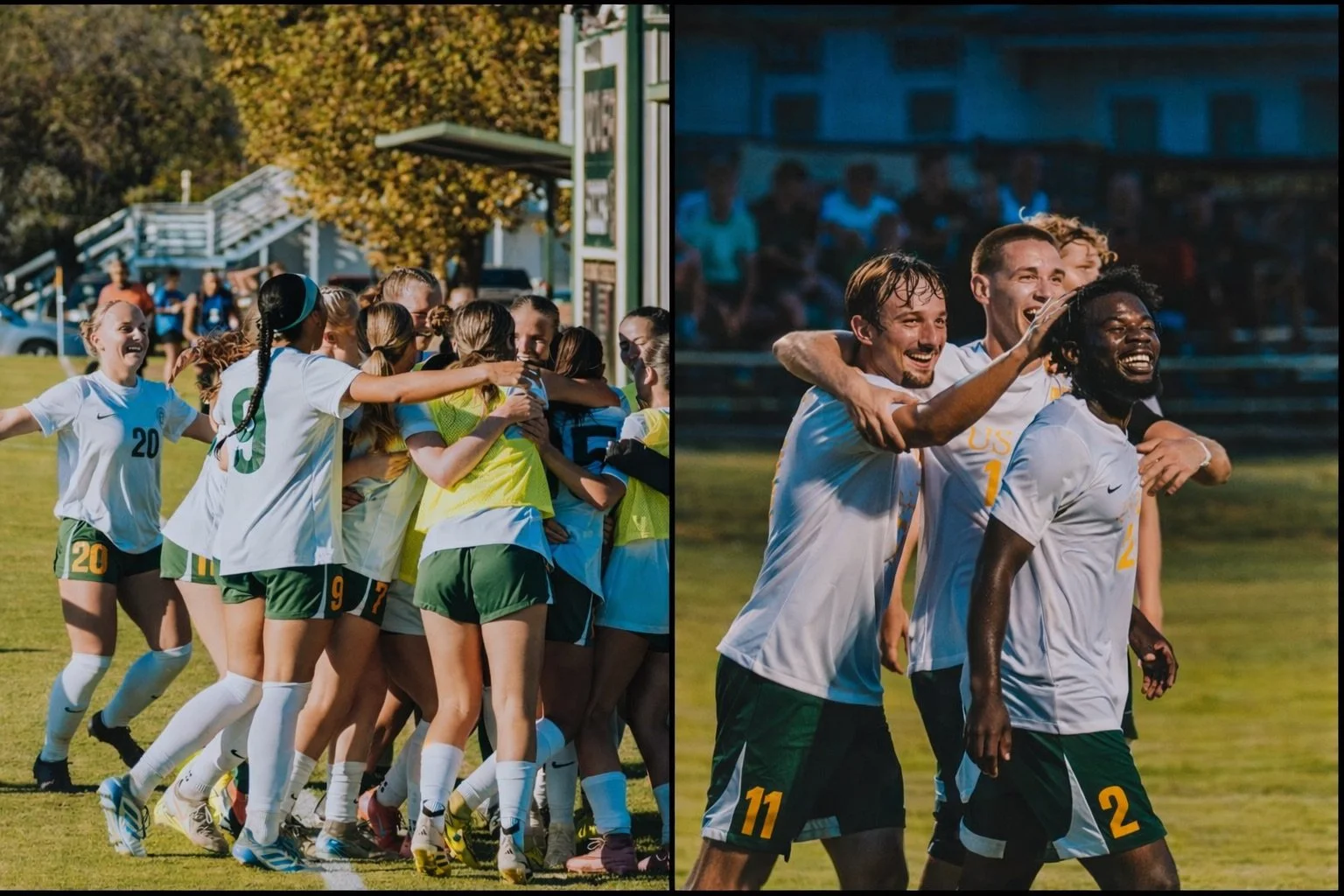 Pasted Graphic 1.jpg