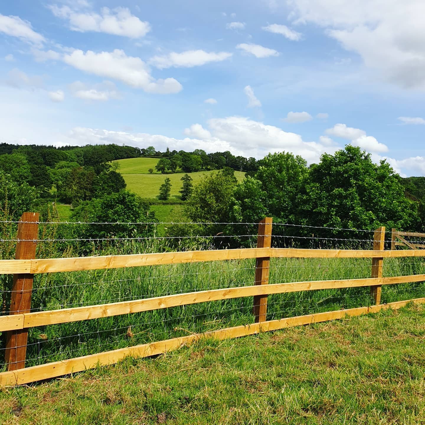 Post &amp; Rail Stock fencing 4ft with some beautiful scenery