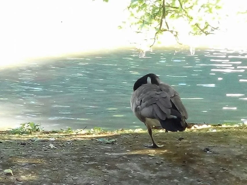 The end of your powers