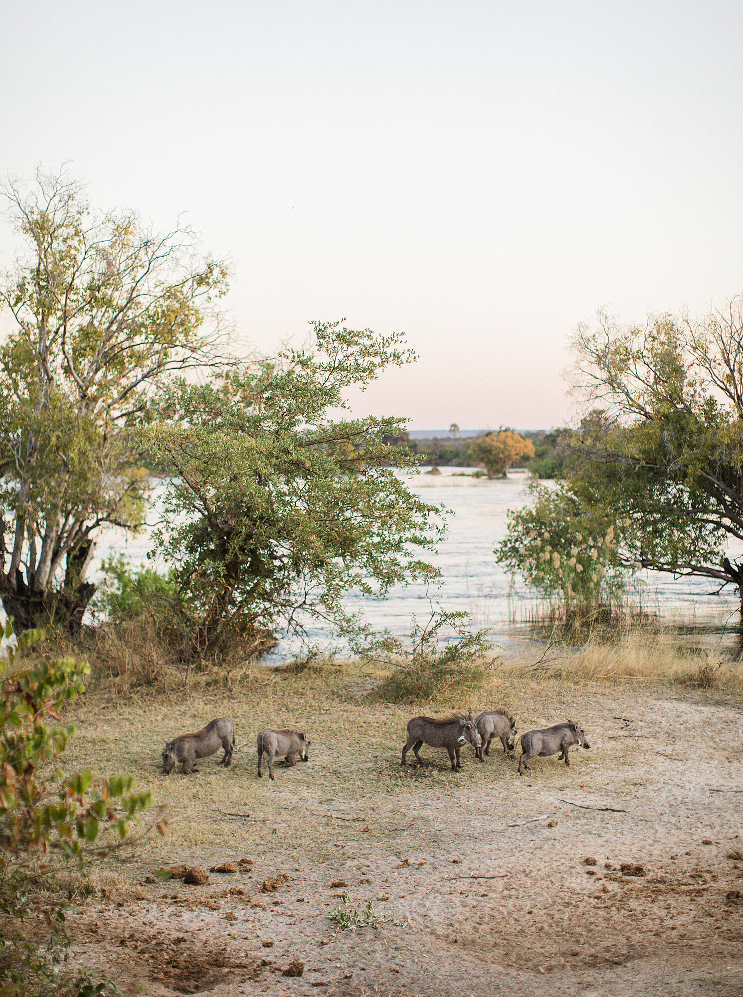 Zambia-Safari-045.jpg