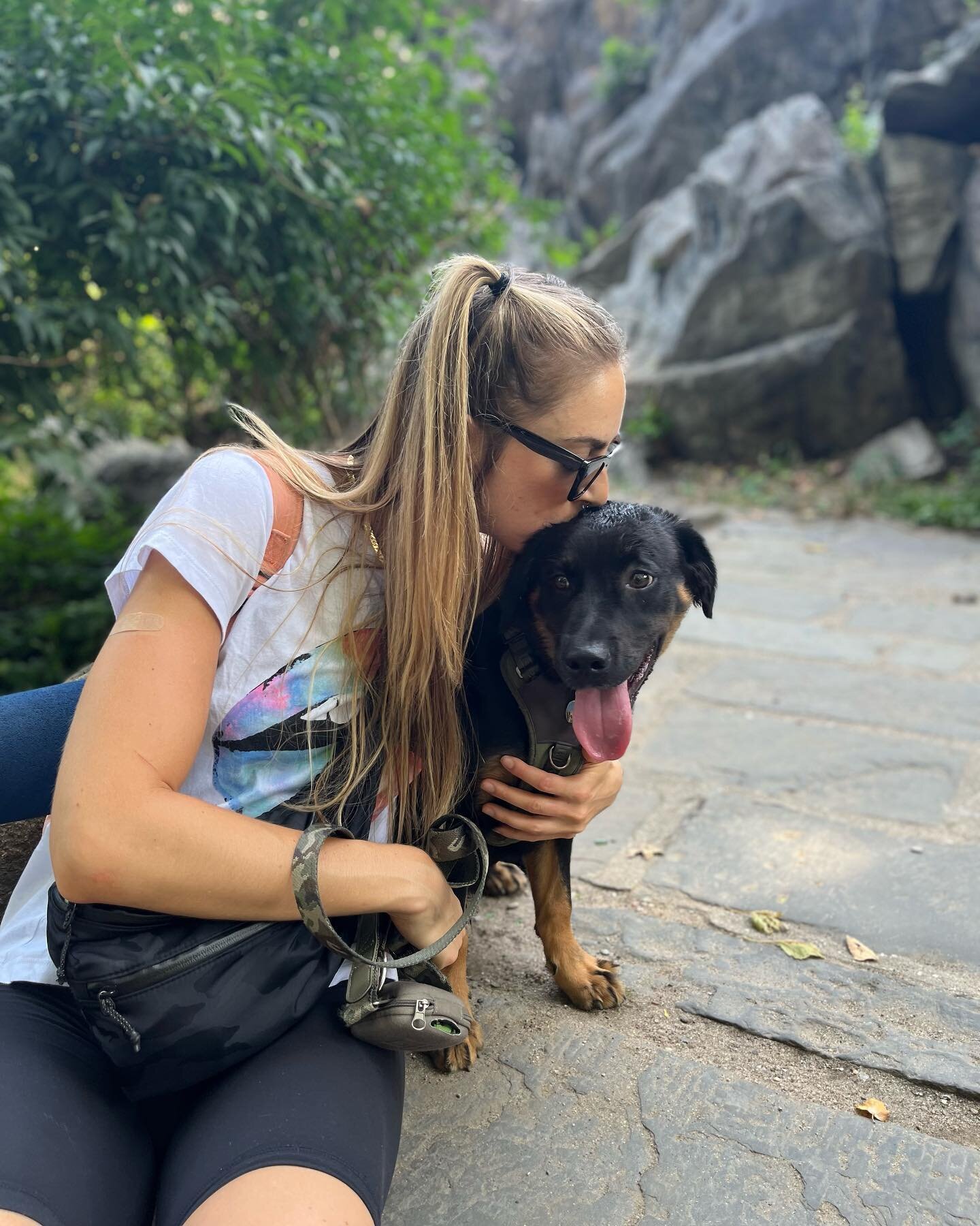 I didn't really think that I would ever get a dog while still technically a single (not married) person, living on my own in New York City. Sure, I always wanted one - I'd given this thought more than a few times - but overwhelmingly, it seemed way t