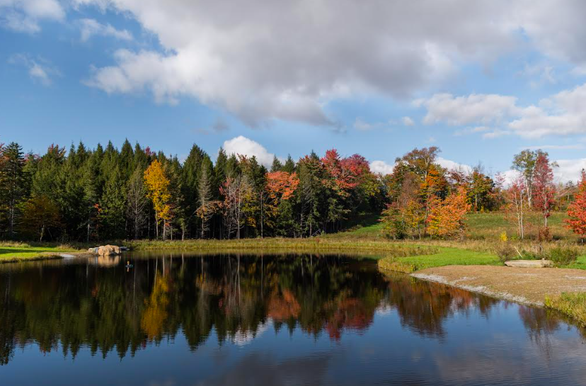 Screen Shot 2026-04-26 at 2.58.44 PM.png