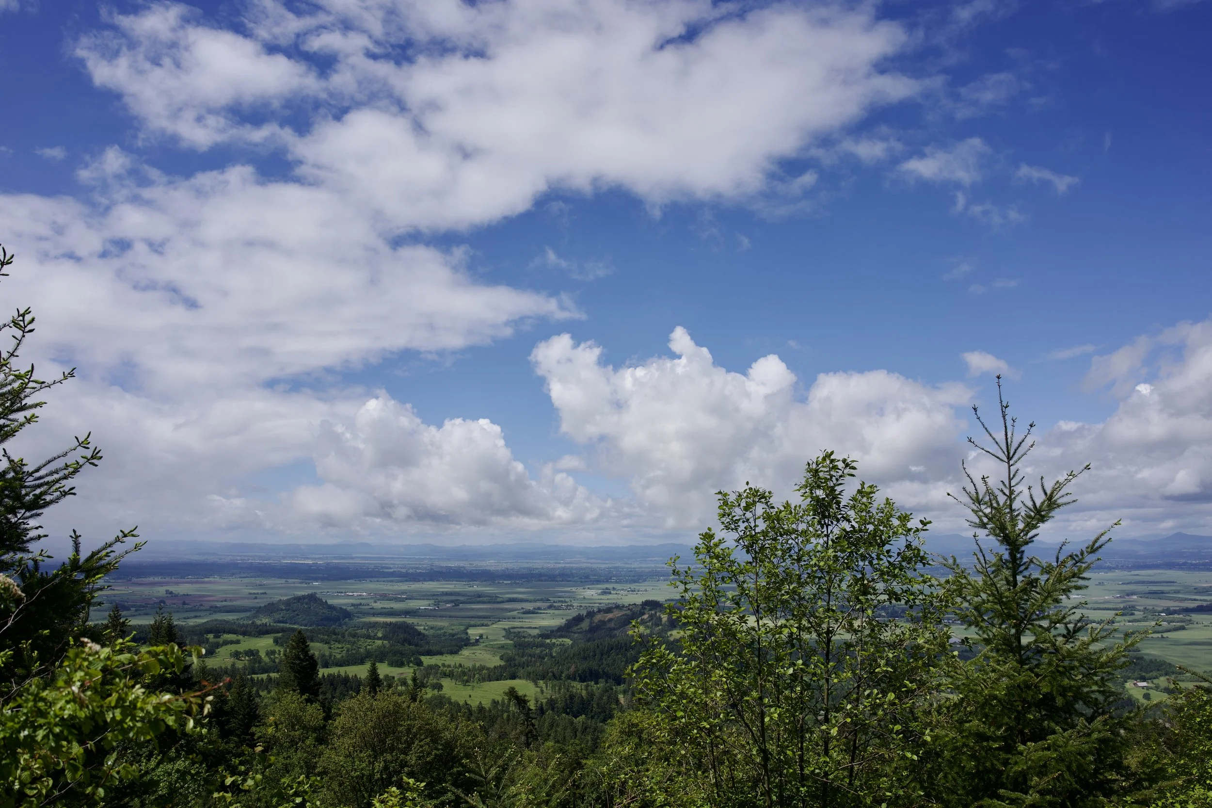 DSC05814.jpeg