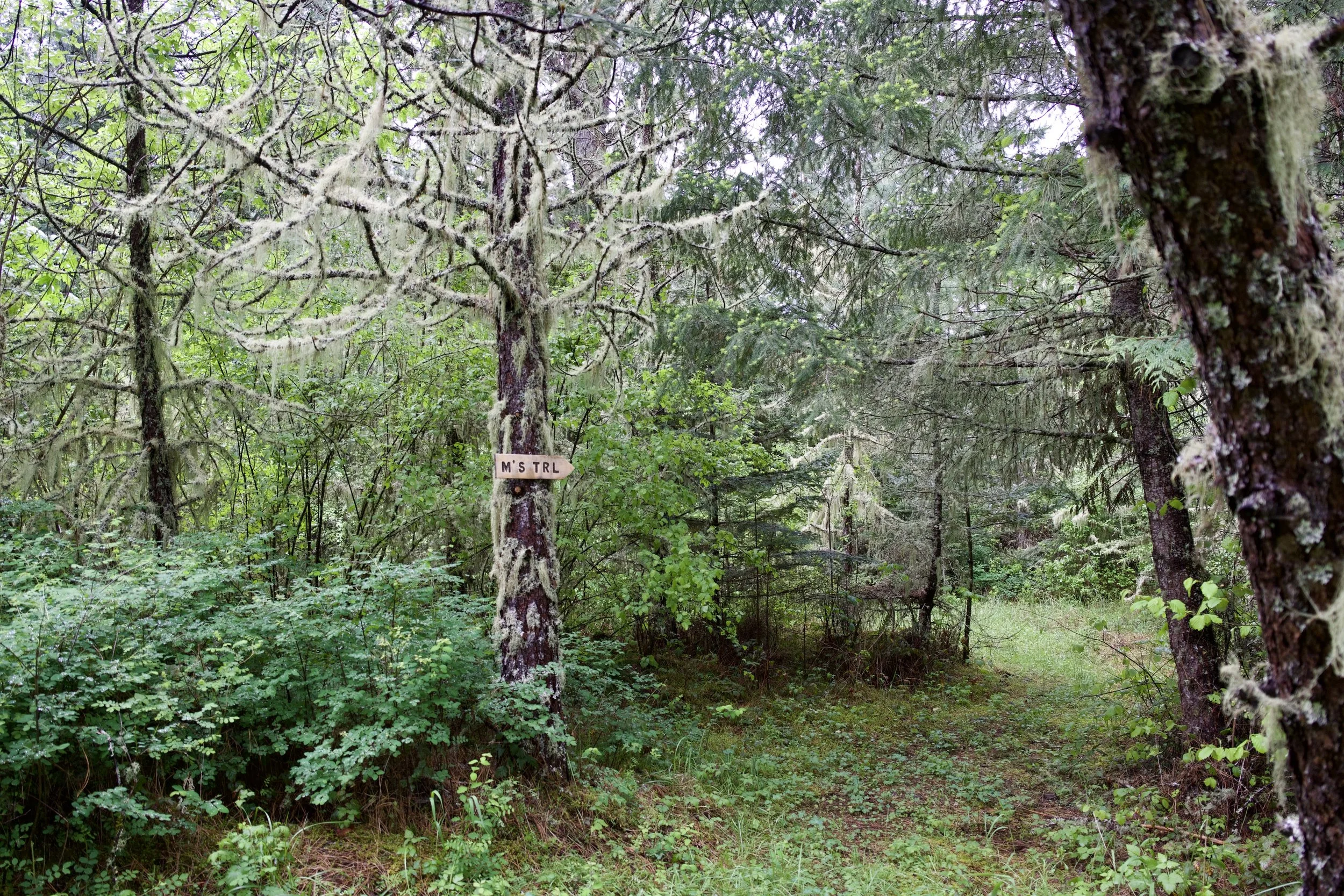 DSC05622.jpeg