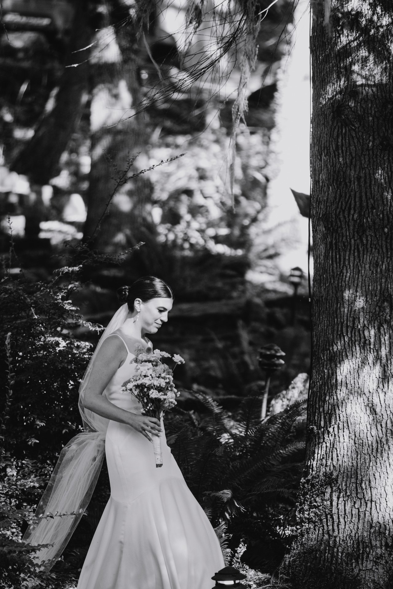 Weddings Mount Tom House