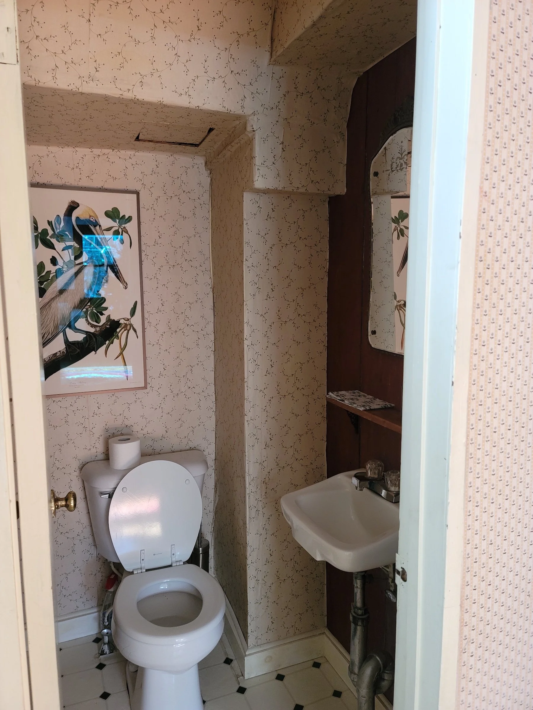 20201207_110552.jpg