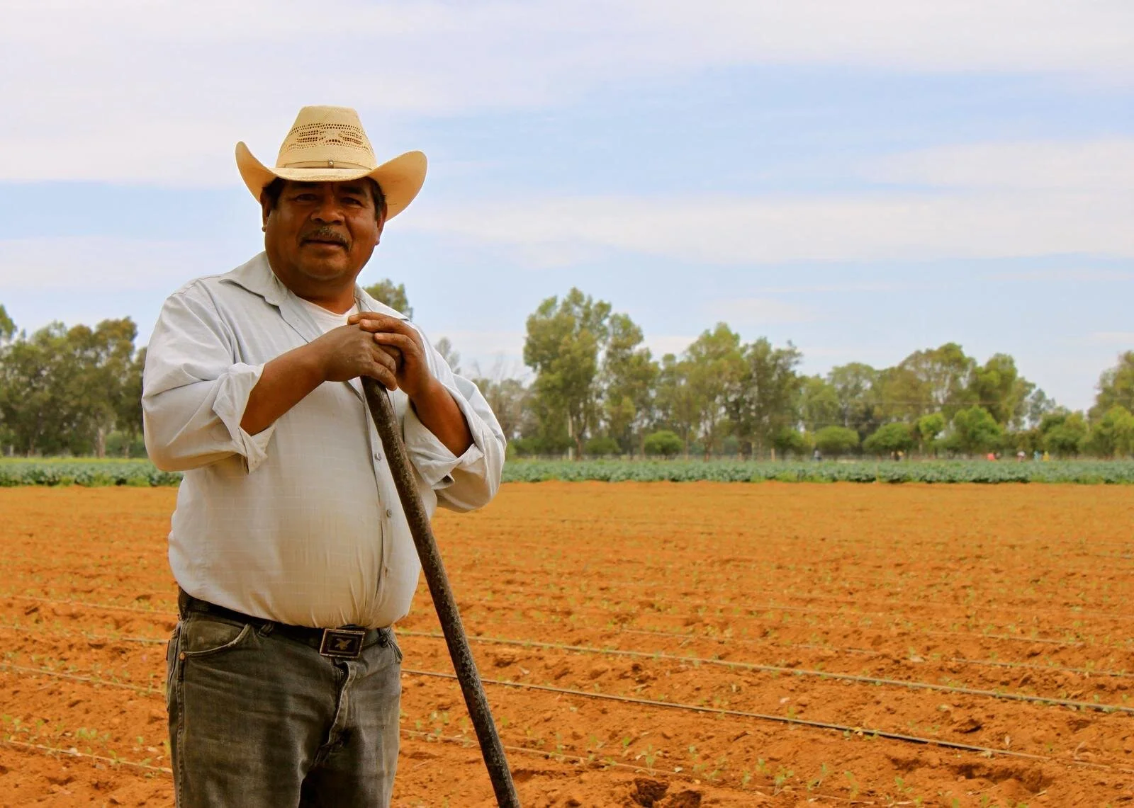 Agrofresco – Eco Campos