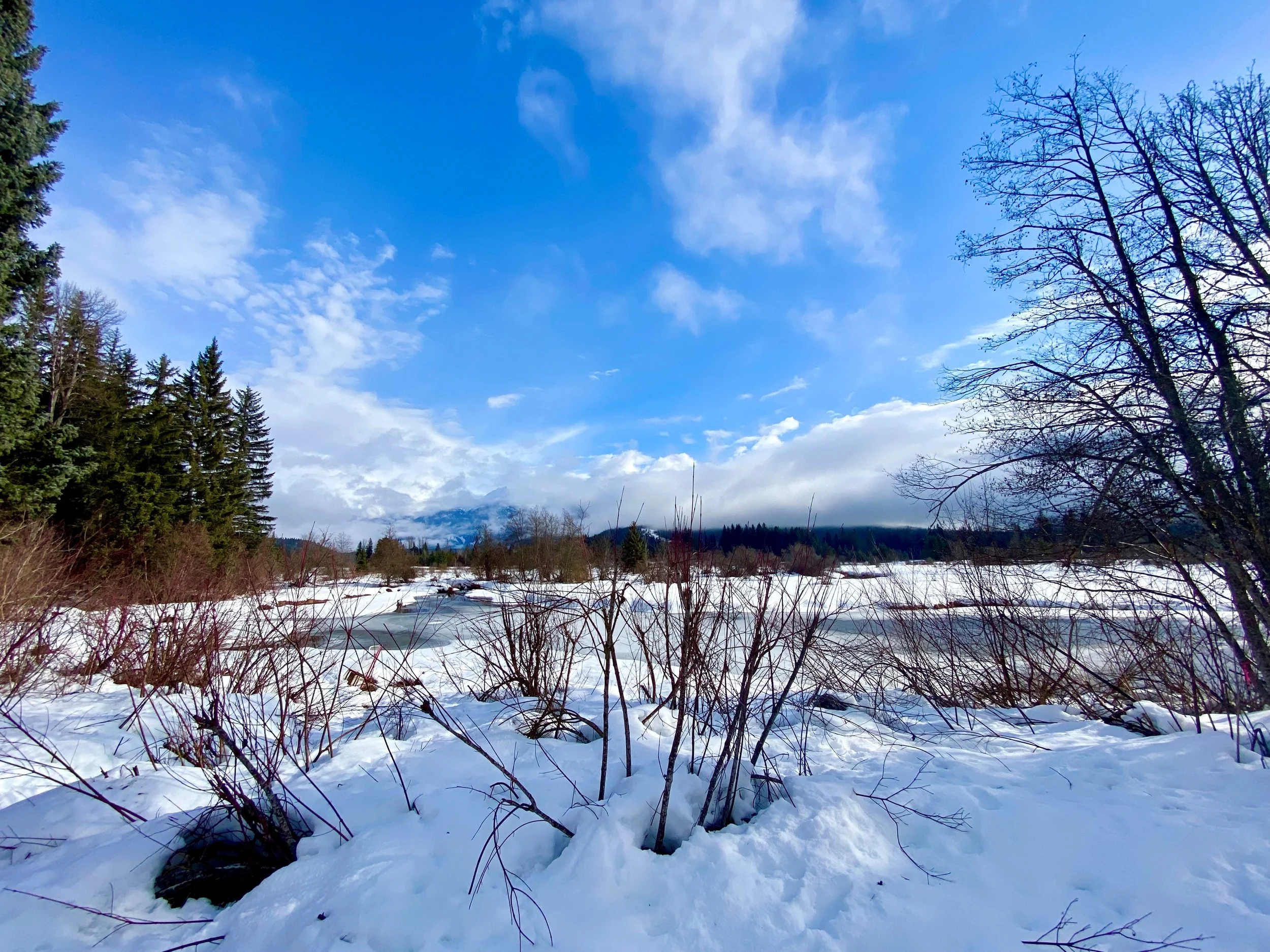 Hot Shots - February 21, 2022