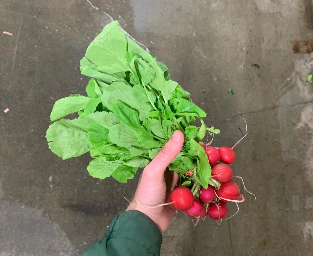 Buyer's Notes - April 15, 2022