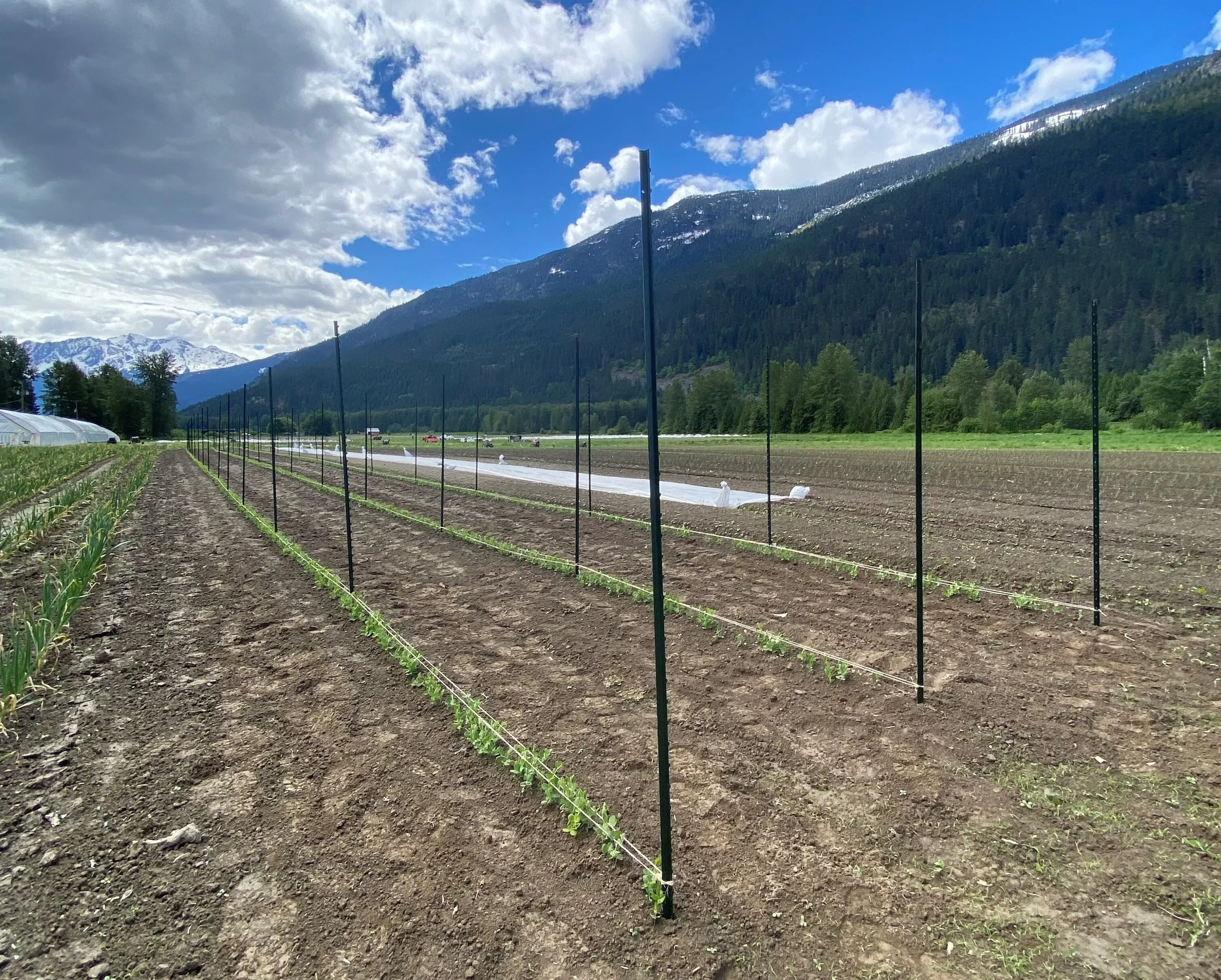 Hot Shots - March 18, 2022