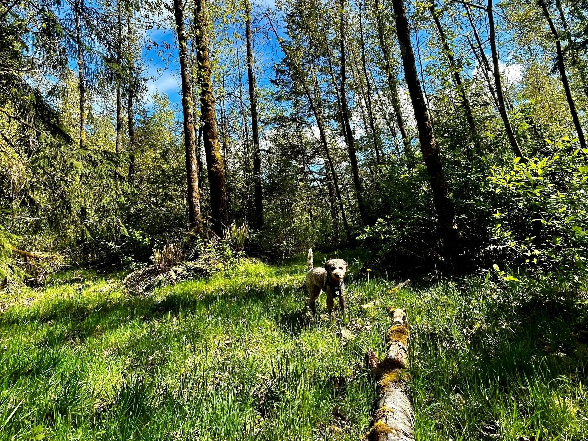 Hot Shots - May 13, 2022
