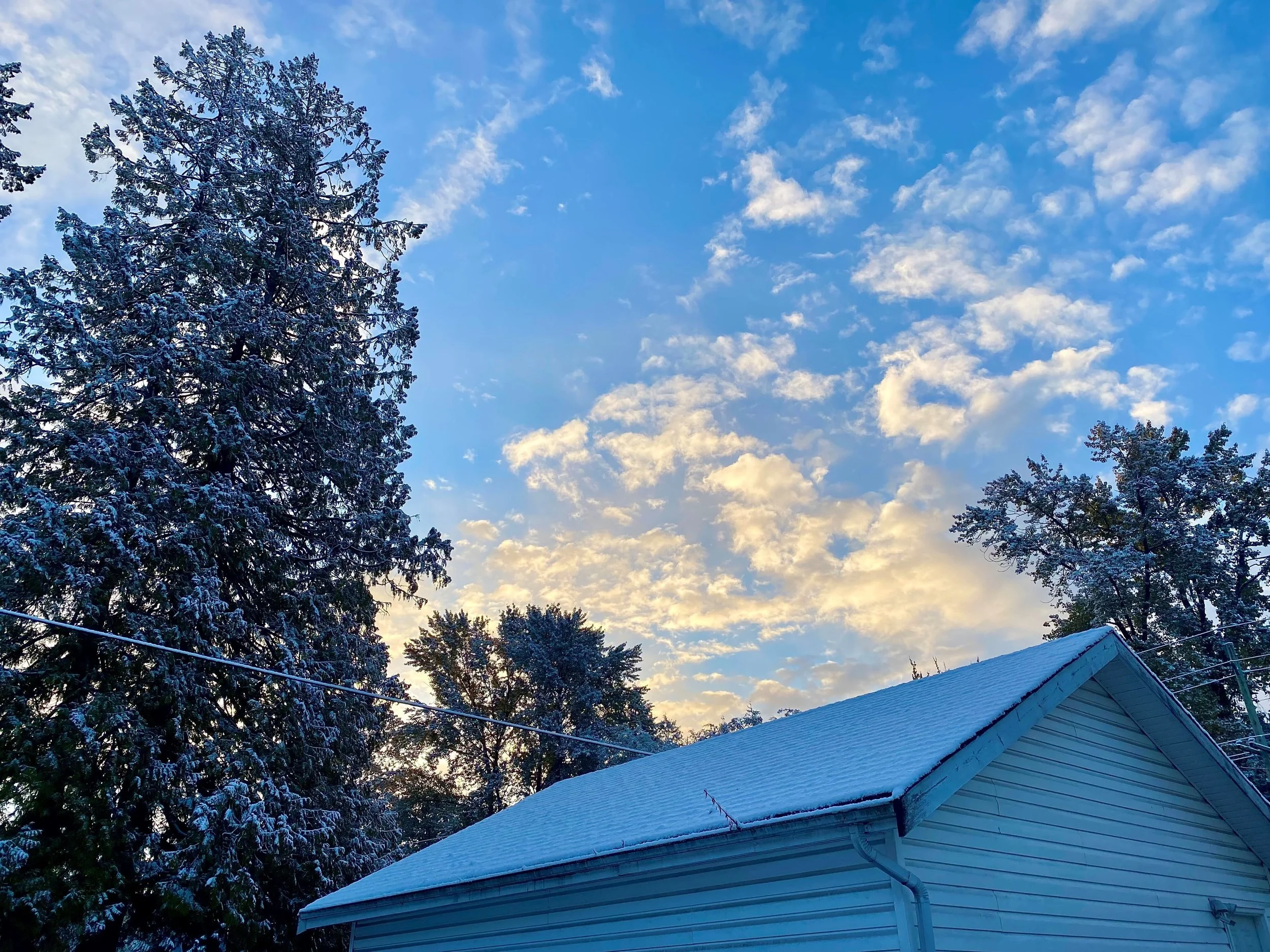 Hot Shots - November 11, 2022