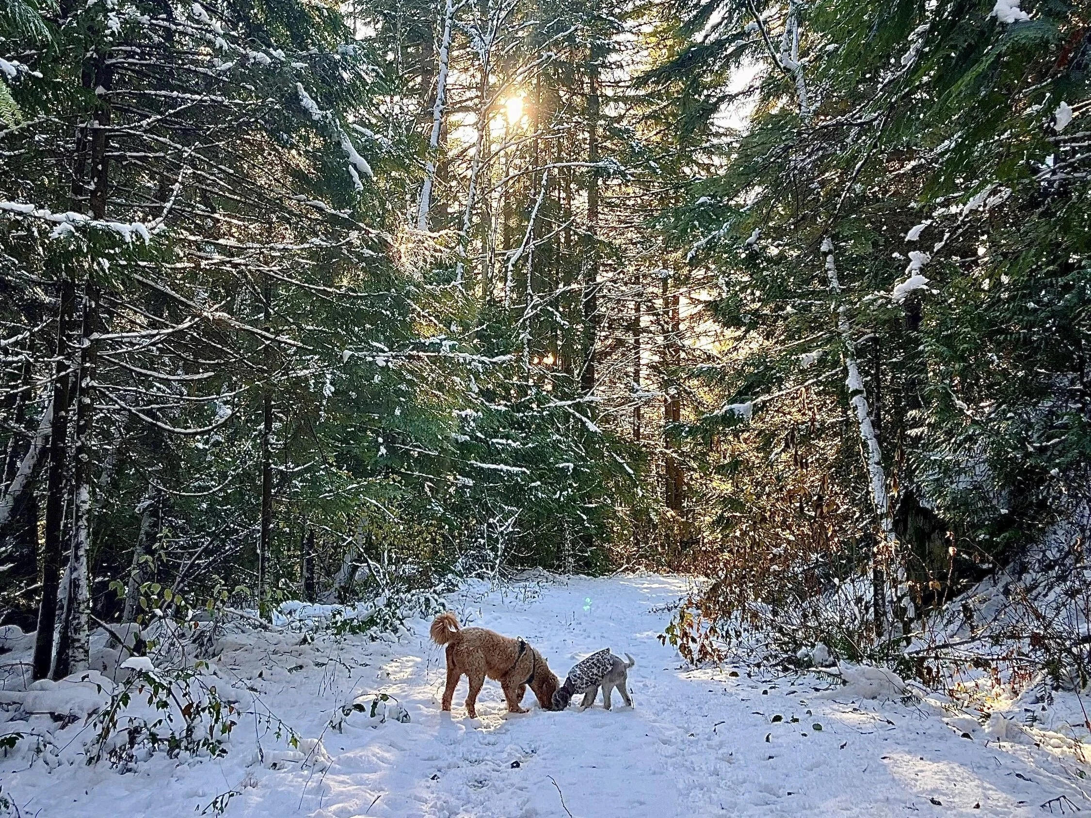 Hot Shots - December 16, 2022