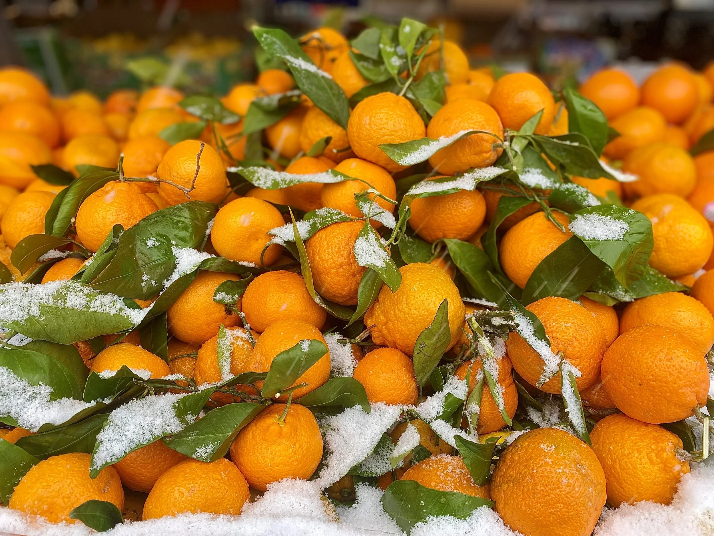 Hot Shots - December 23, 2022