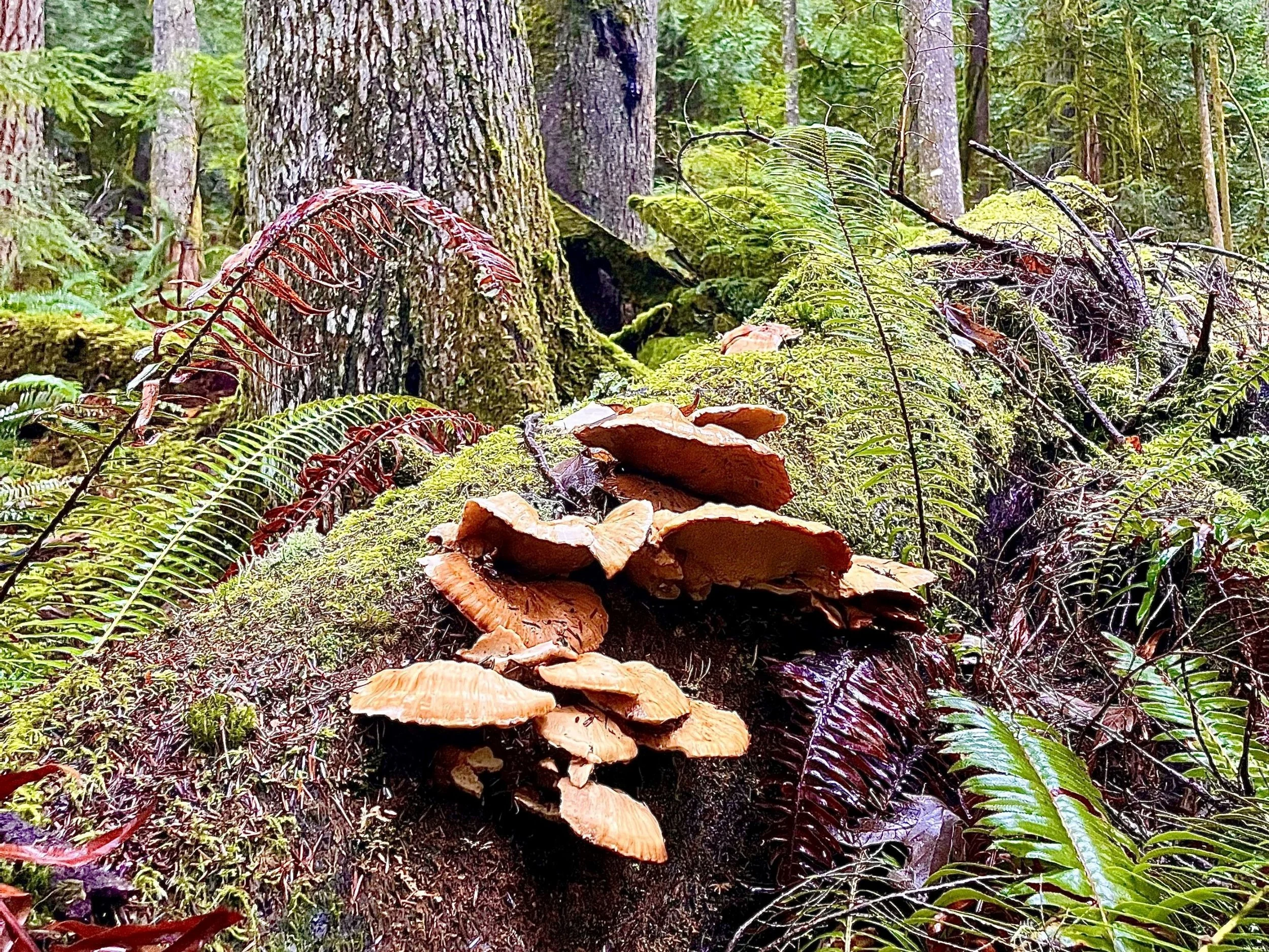 Hot Shots - January 20, 2023