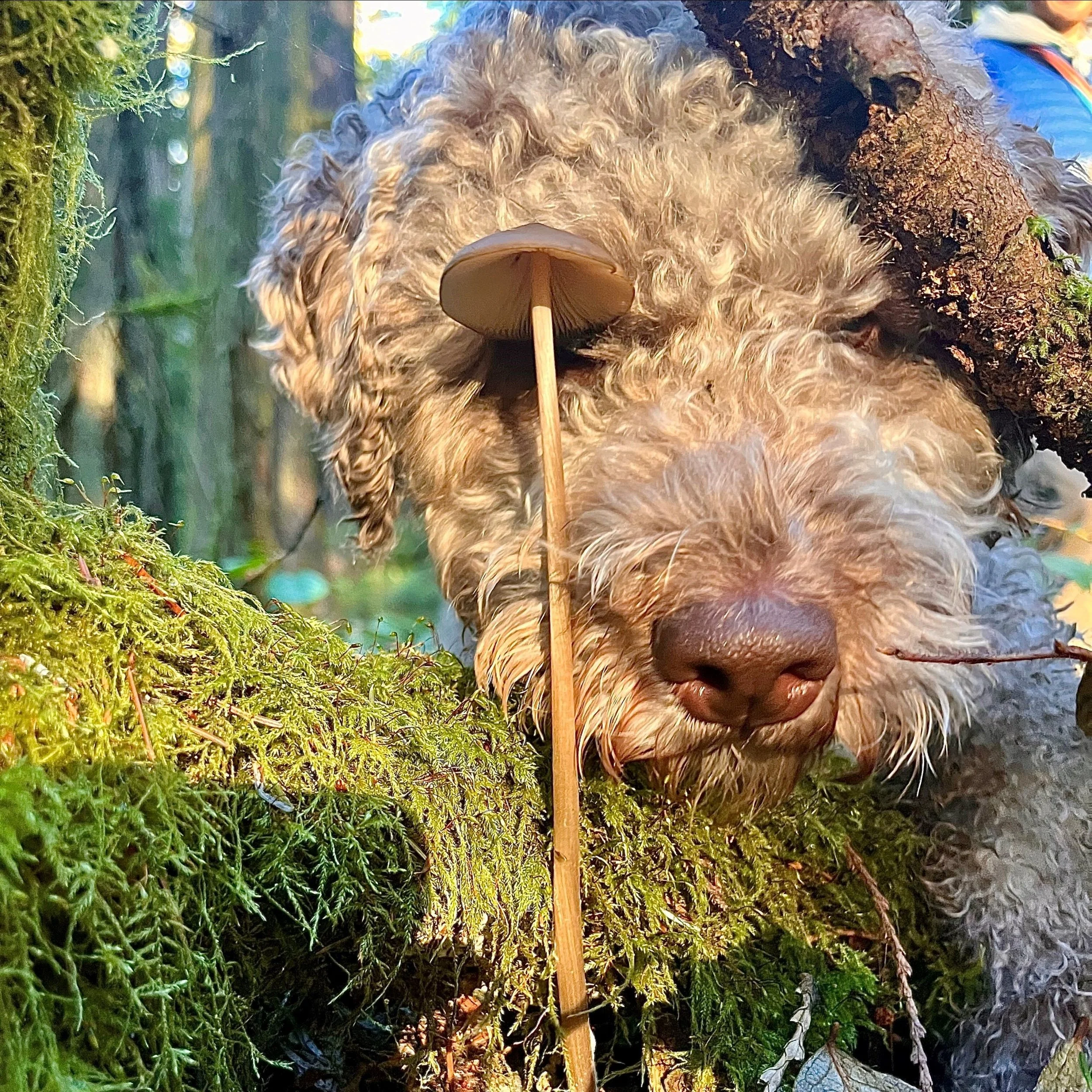 Hot Shots - February 17, 2023