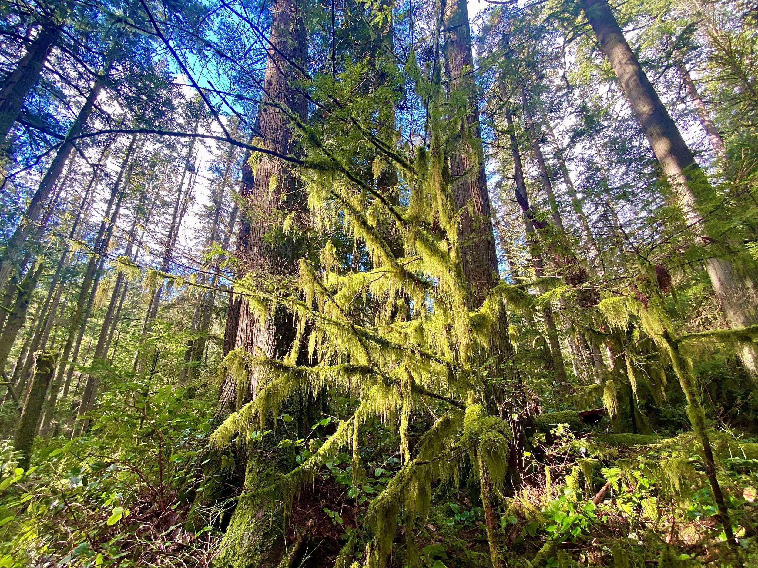 Hot Shots - February 24, 2023