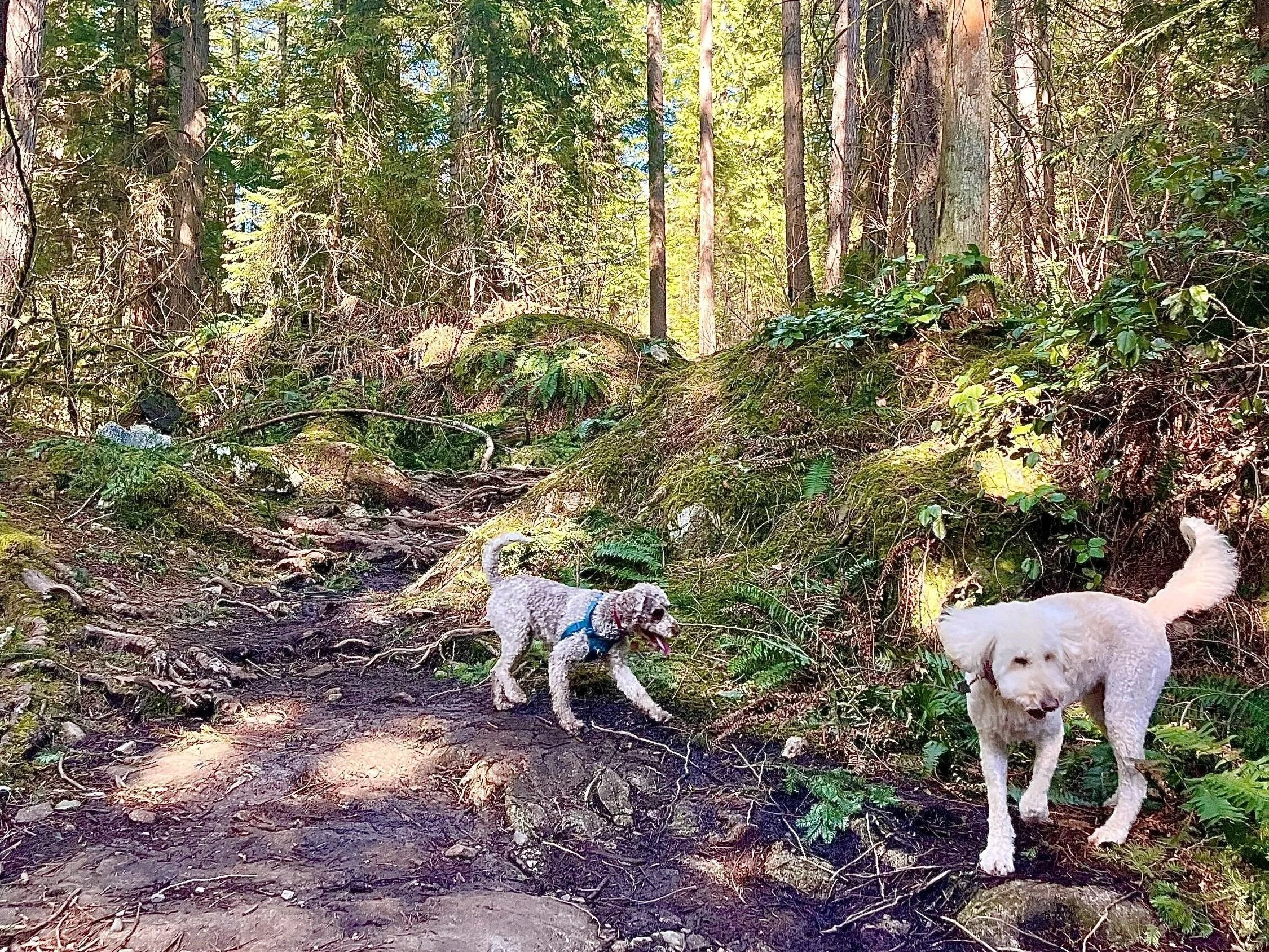 Hot Shots - March 24, 2023